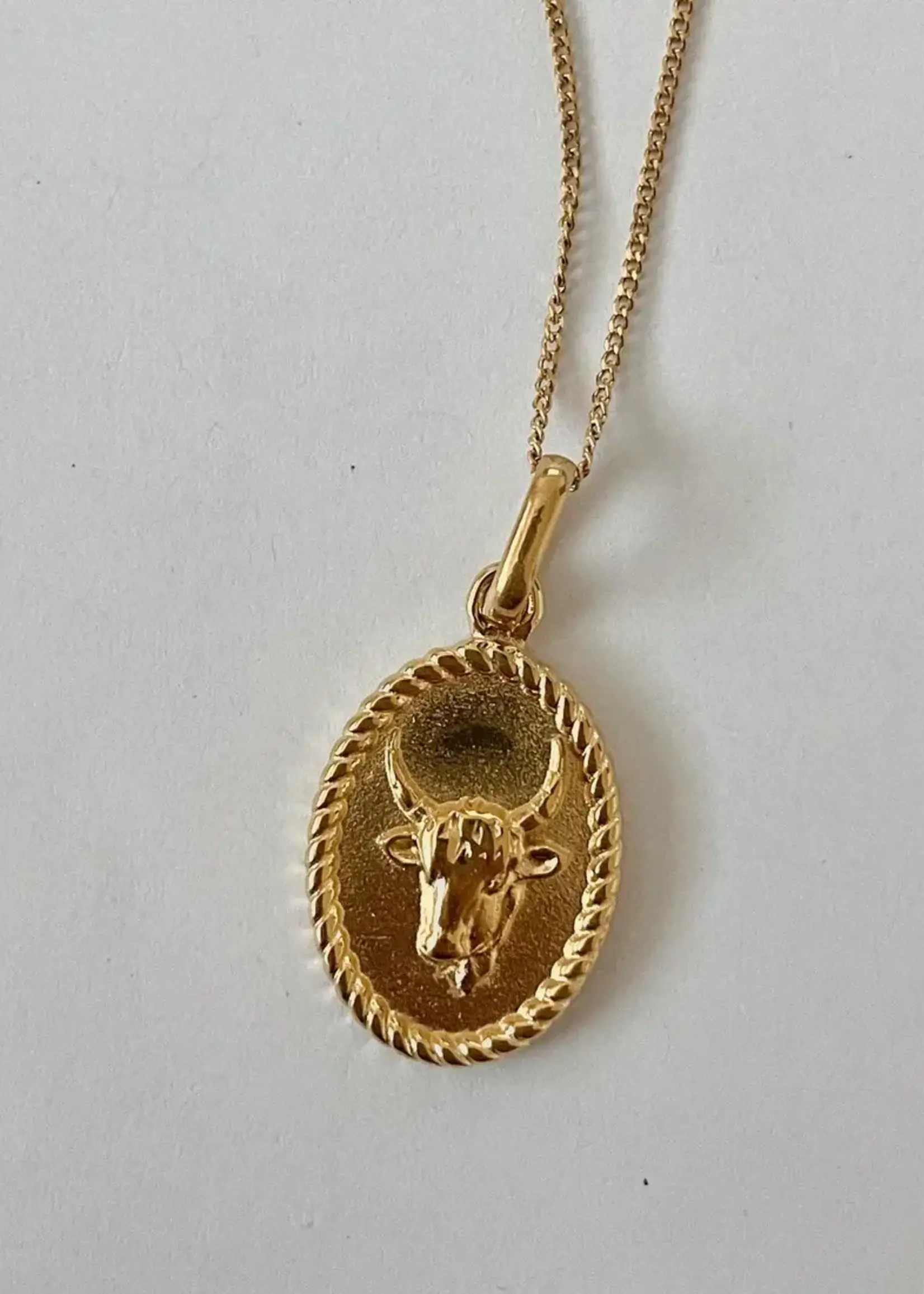 NAMASTE JEWELRY Zodiac 2.0