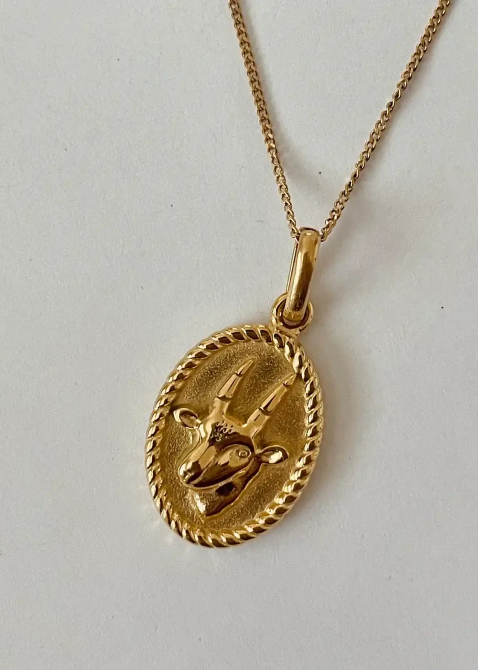 NAMASTE JEWELRY Zodiac 2.0