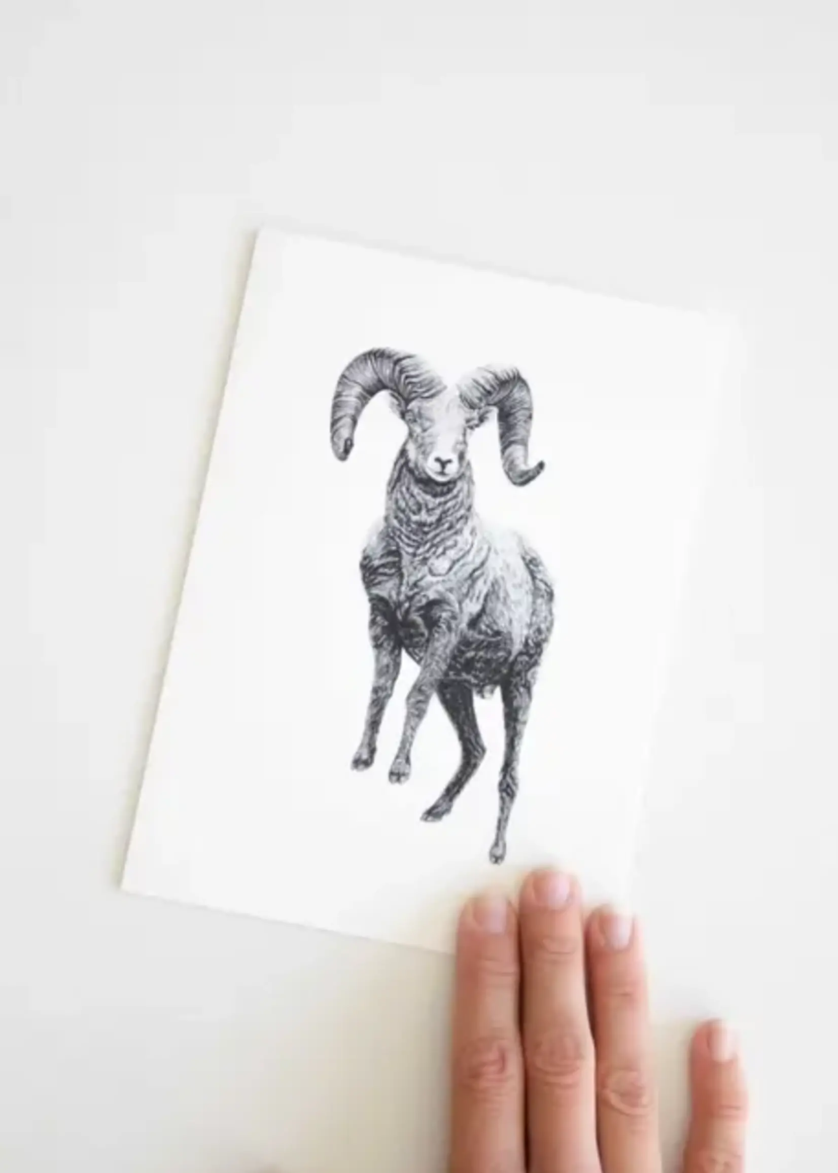 Pen On Paper Co PNW Animal Getting cards