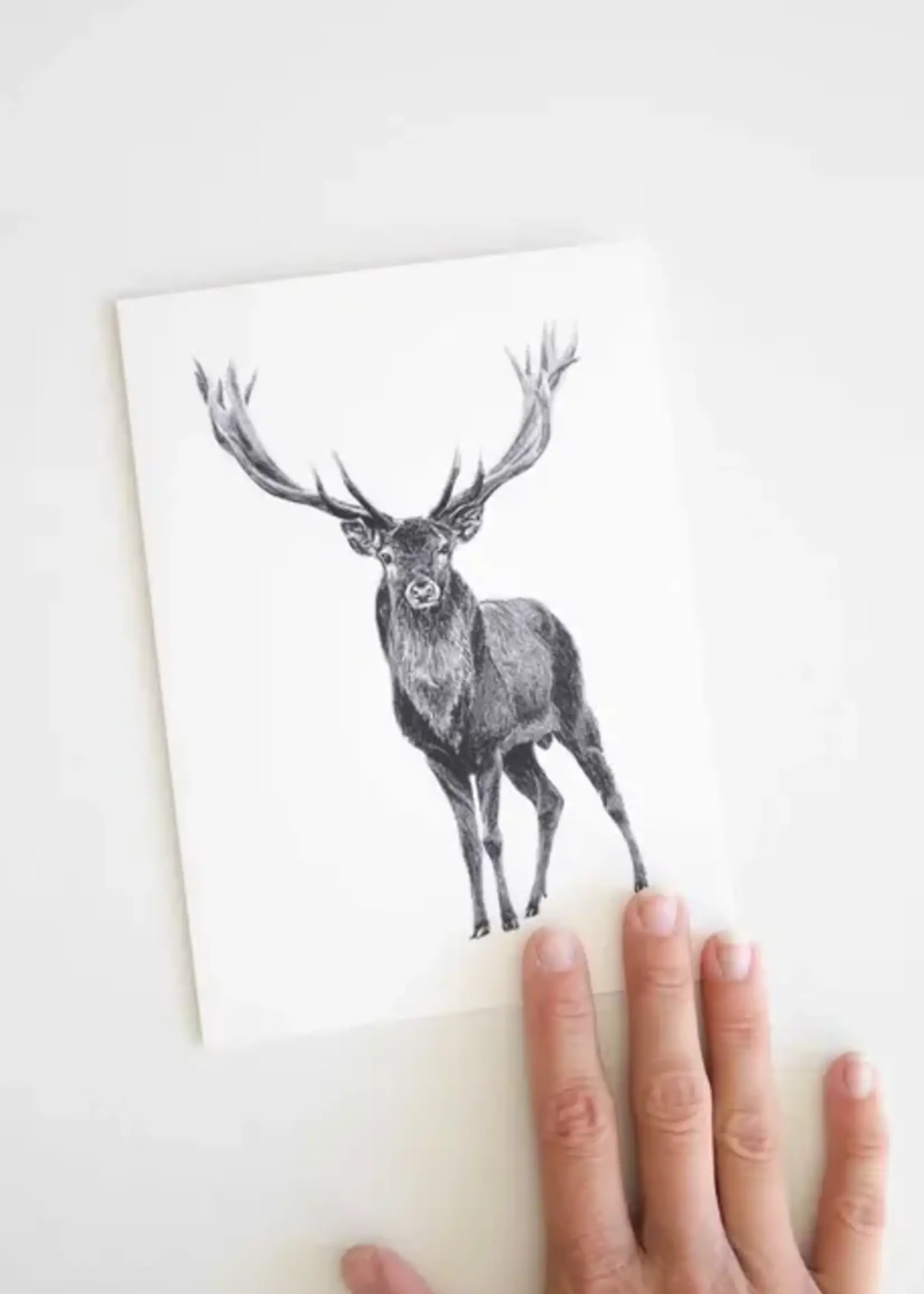 Pen On Paper Co PNW Animal Getting cards