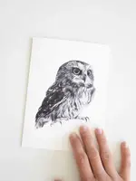 Pen On Paper Co PNW Animal Getting cards