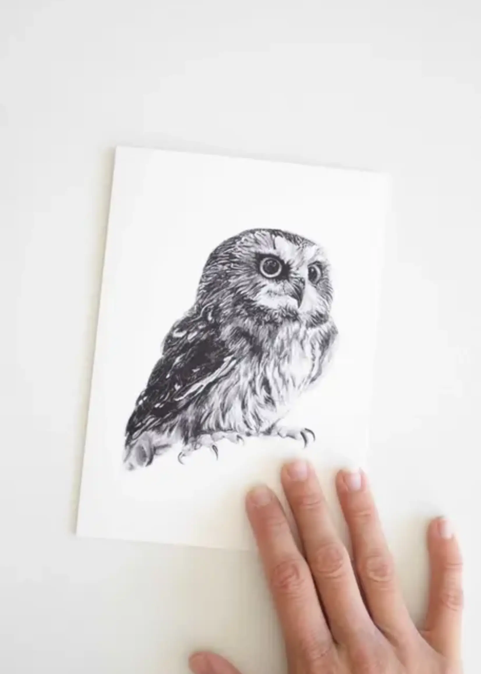 Pen On Paper Co PNW Animal Getting cards