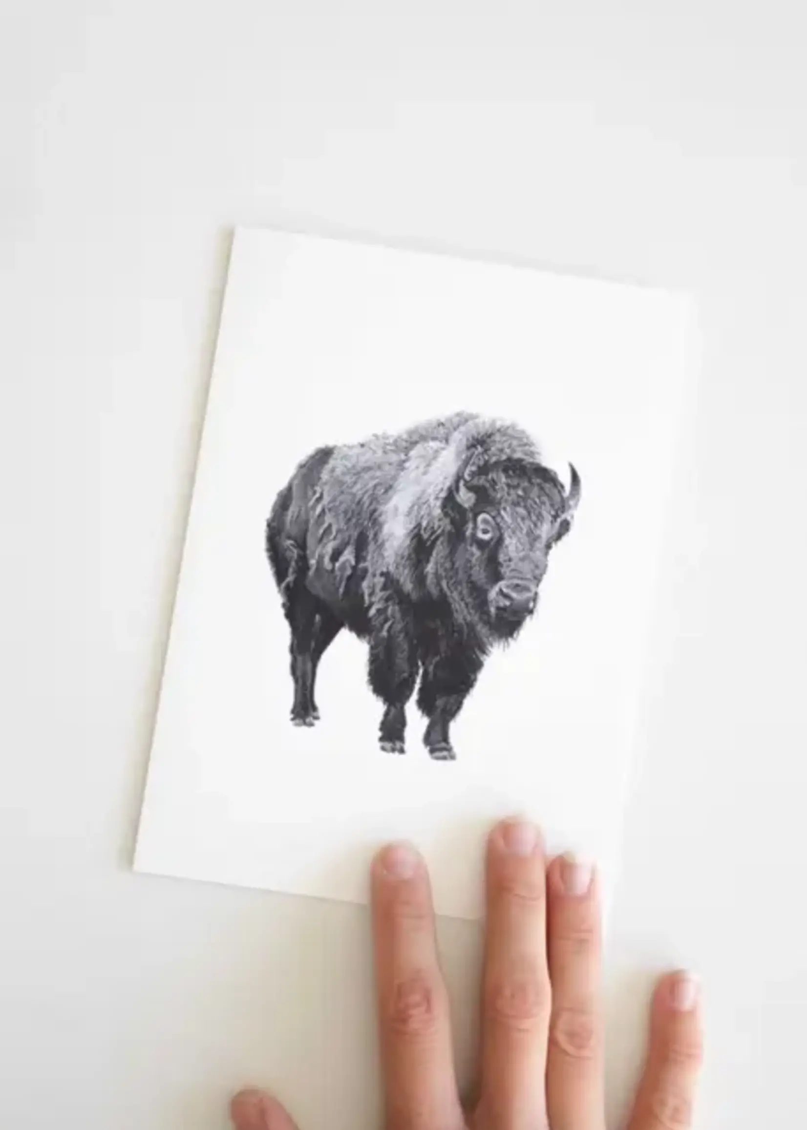 Pen On Paper Co PNW Animal Getting cards