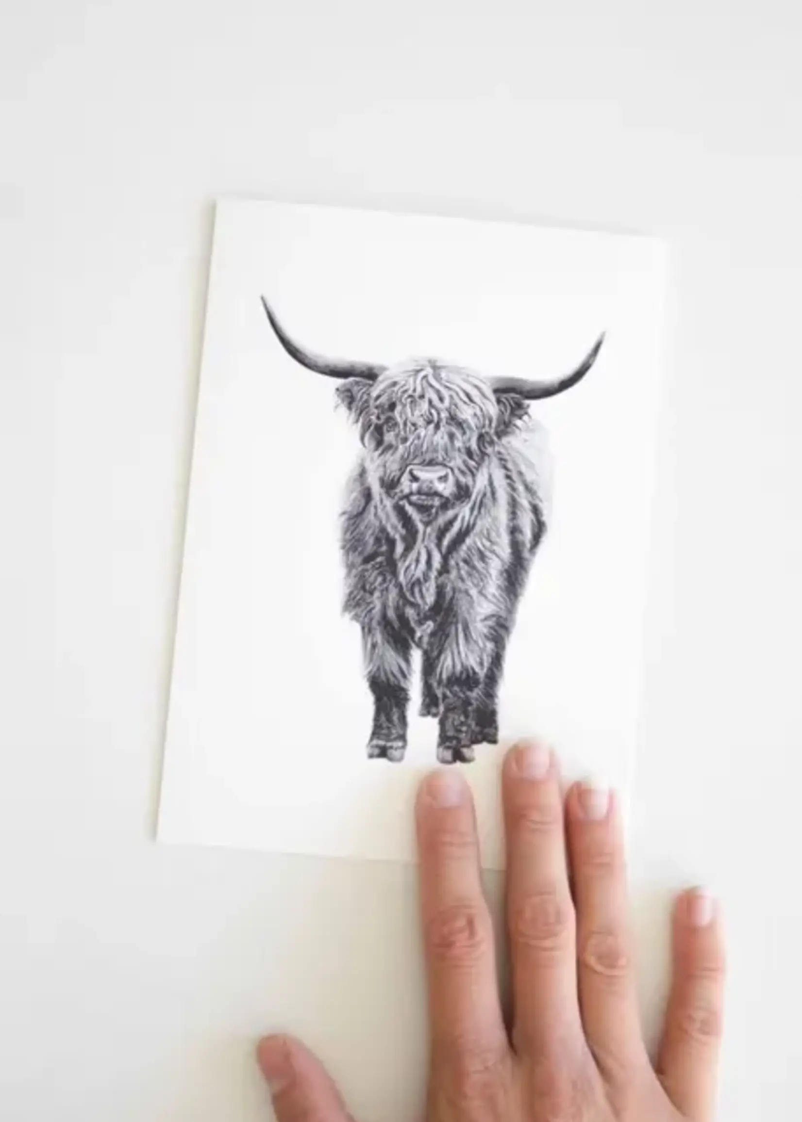 Pen On Paper Co PNW Animal Getting cards