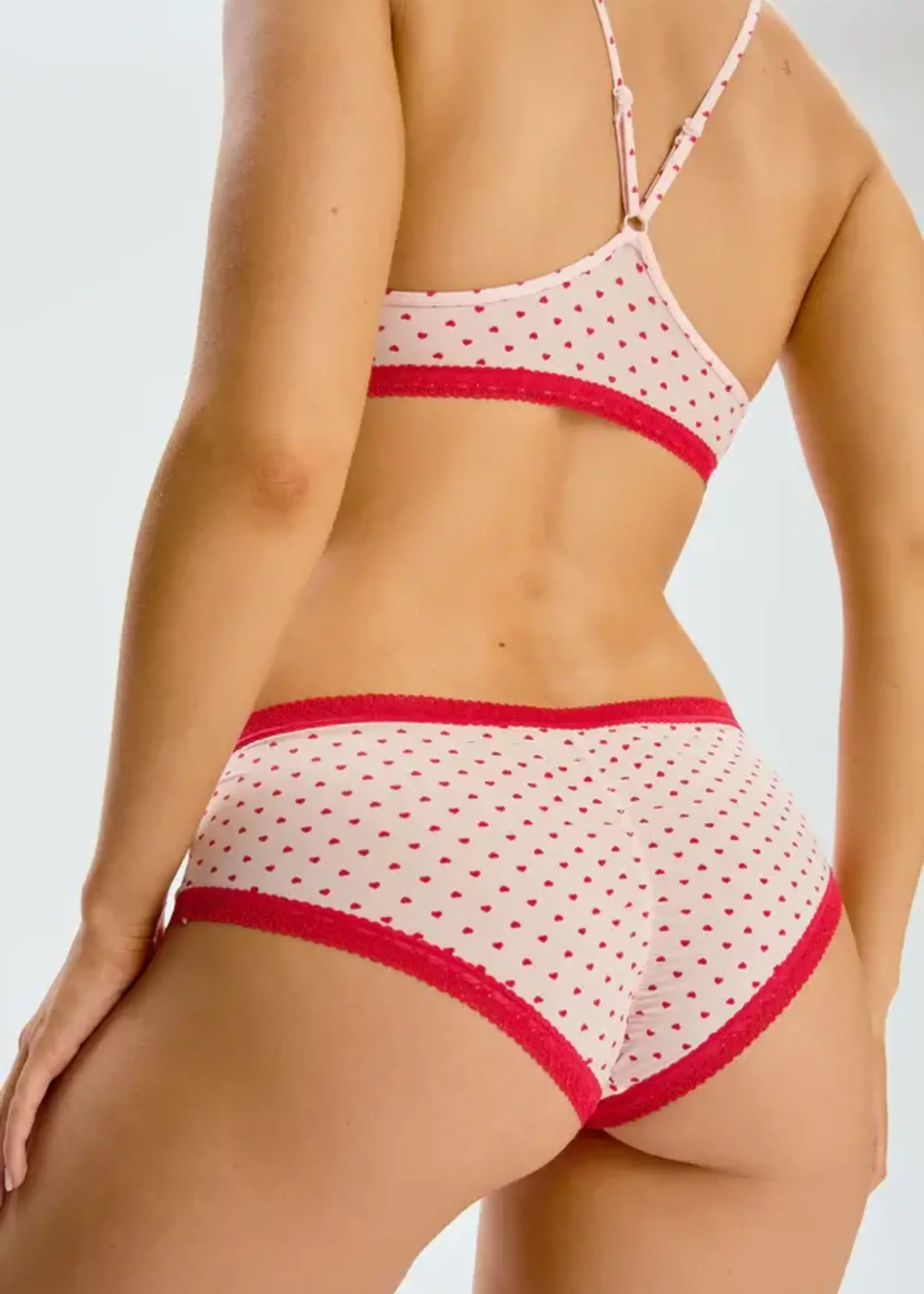 BLUSH MICRO lace trim hipster