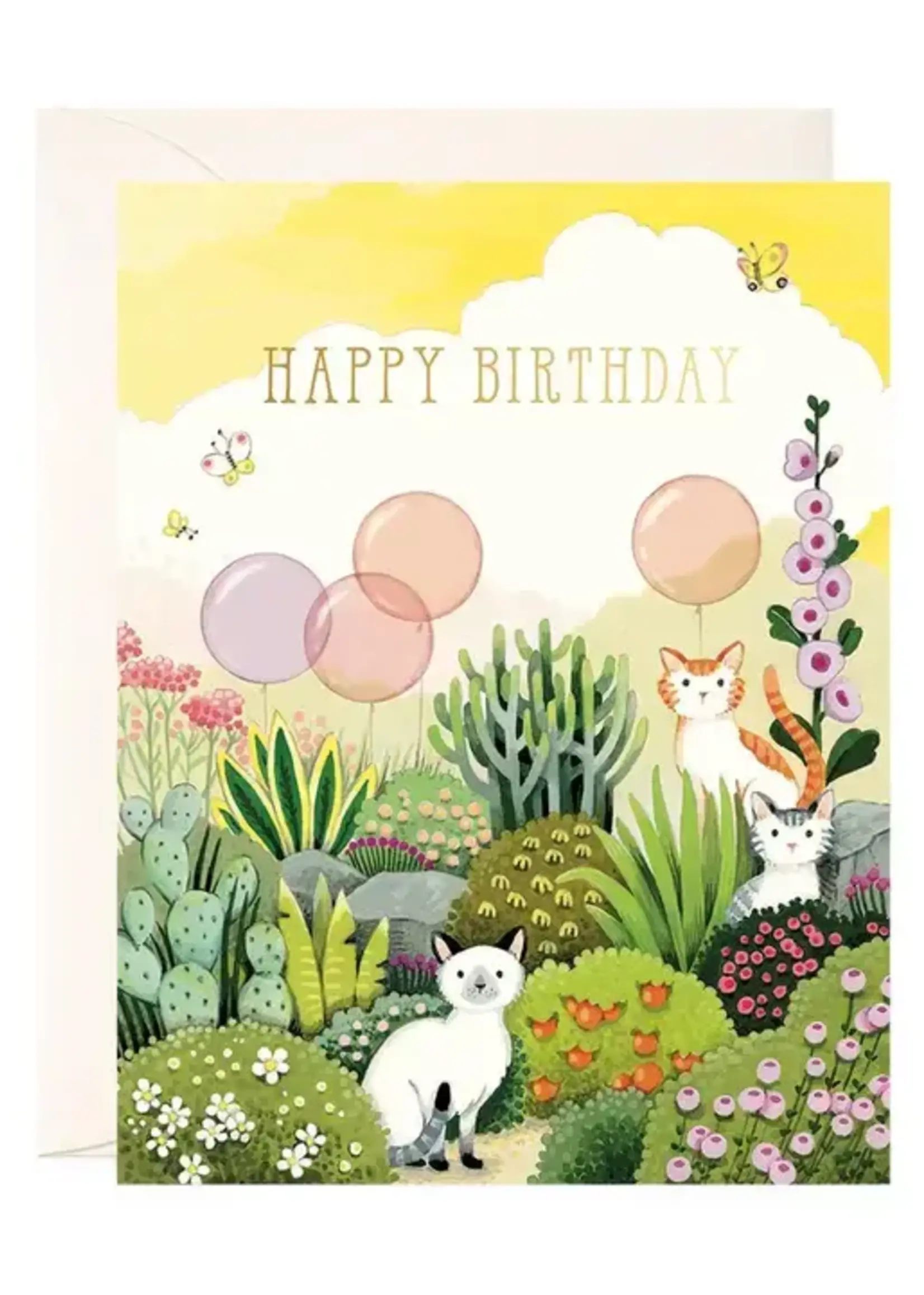 JOOJOO PAPER ASSORTED  BIRTHDAY CARDS
