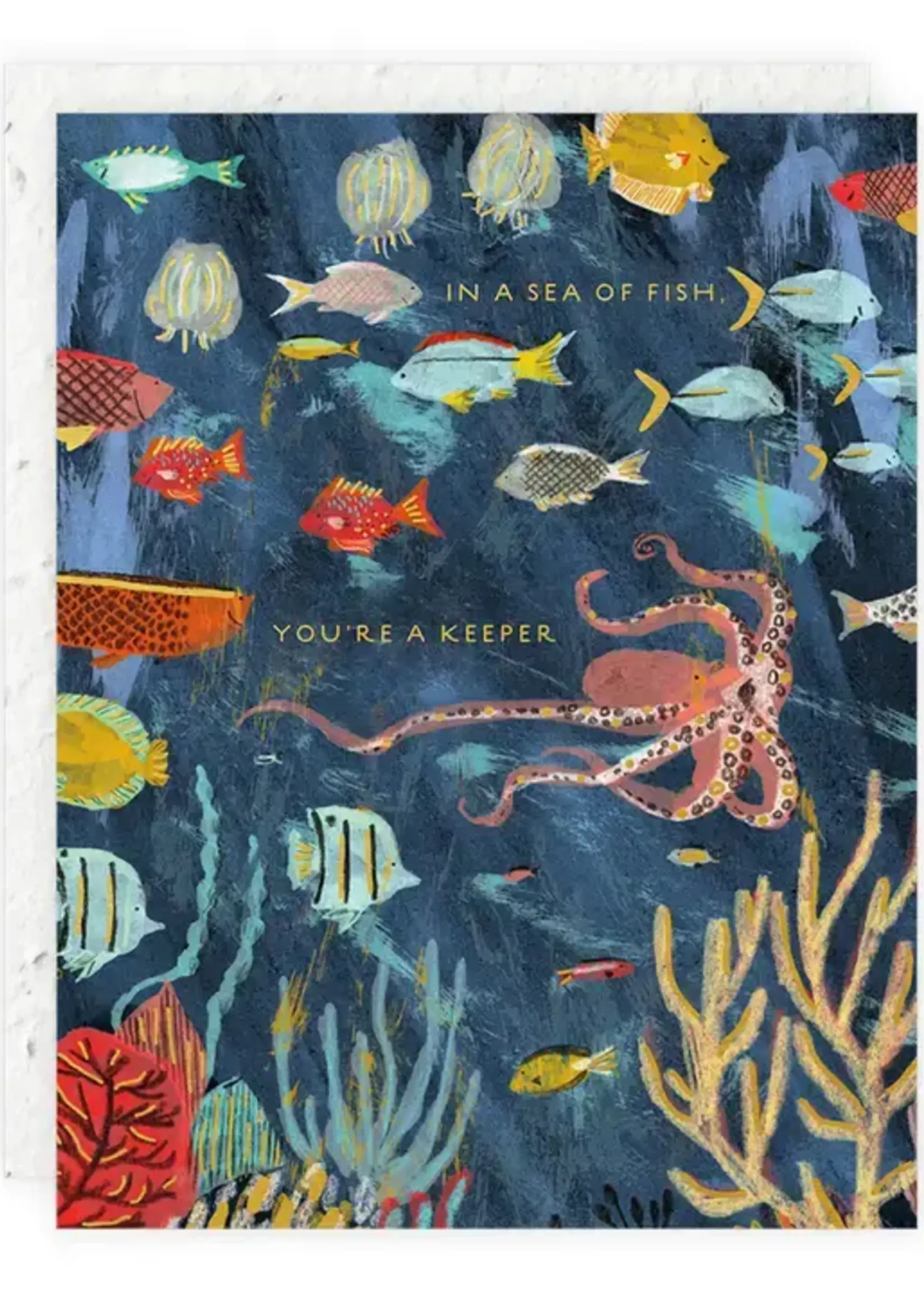 LeBLANC finds Assorted Greeting Cards