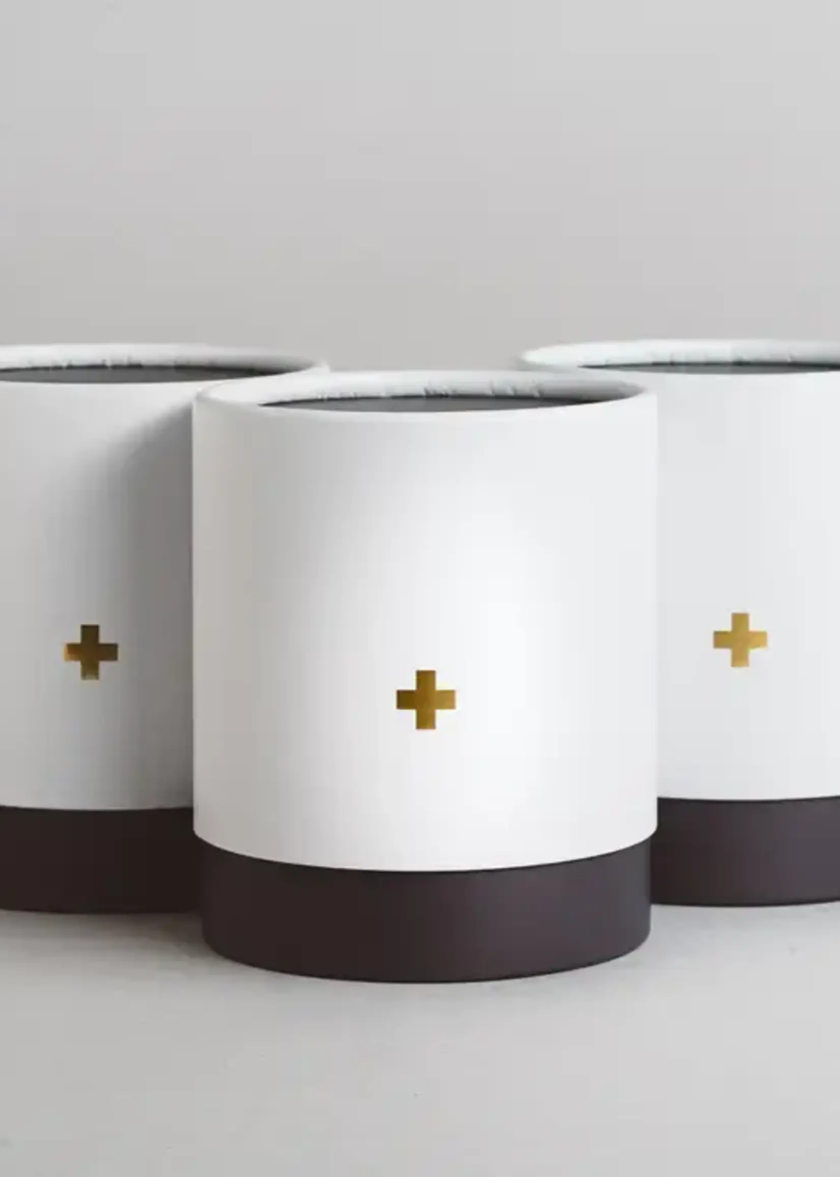 CORD +IRON Warm Coconut + Sandalwood Glass Candle