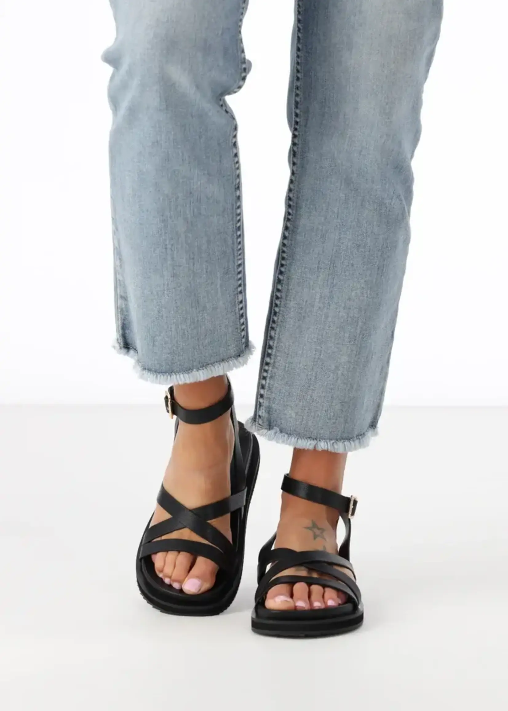 BILLINI Tulsi Sandal