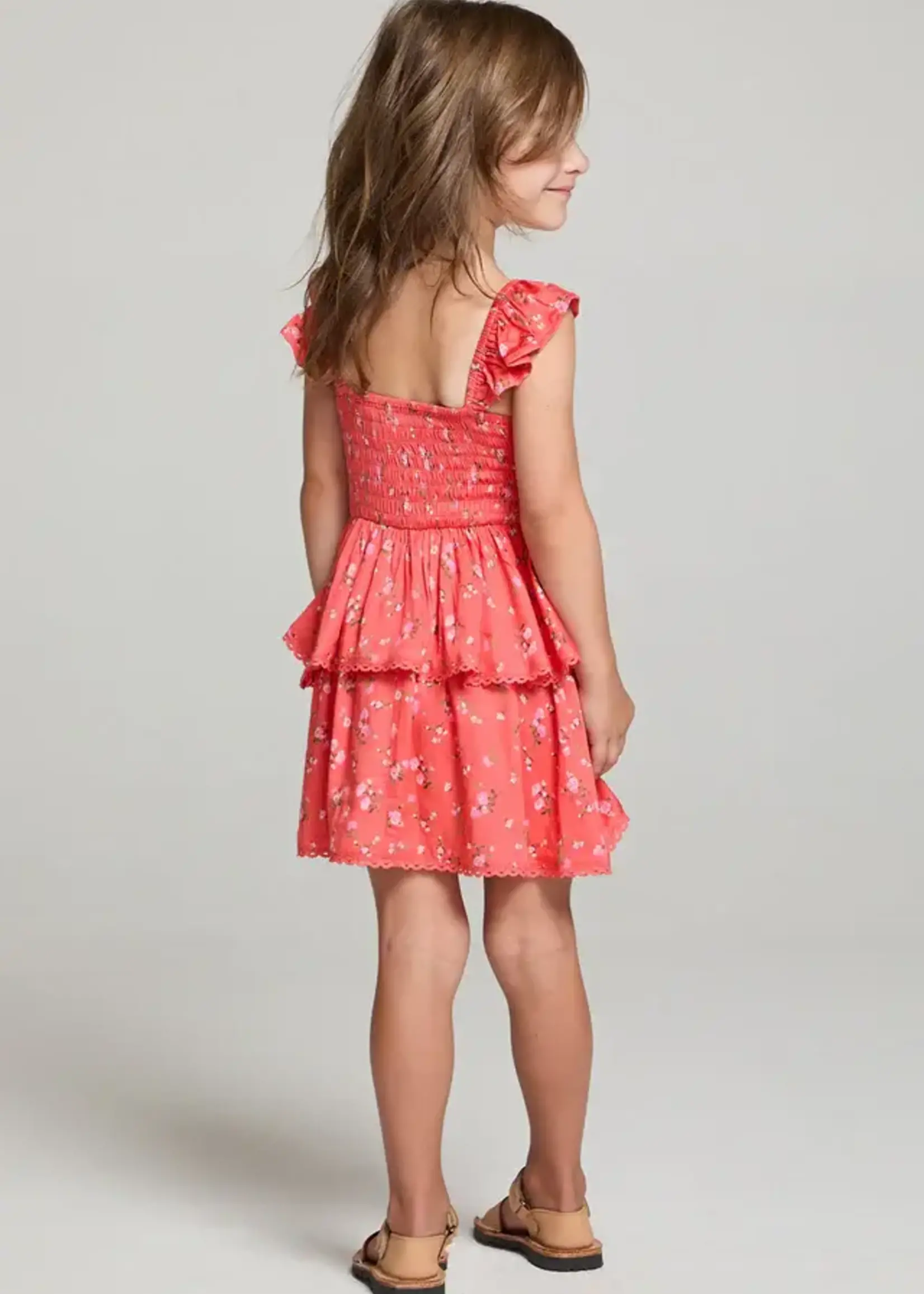 SALTWATER LUXE Raynbow Mini Dress