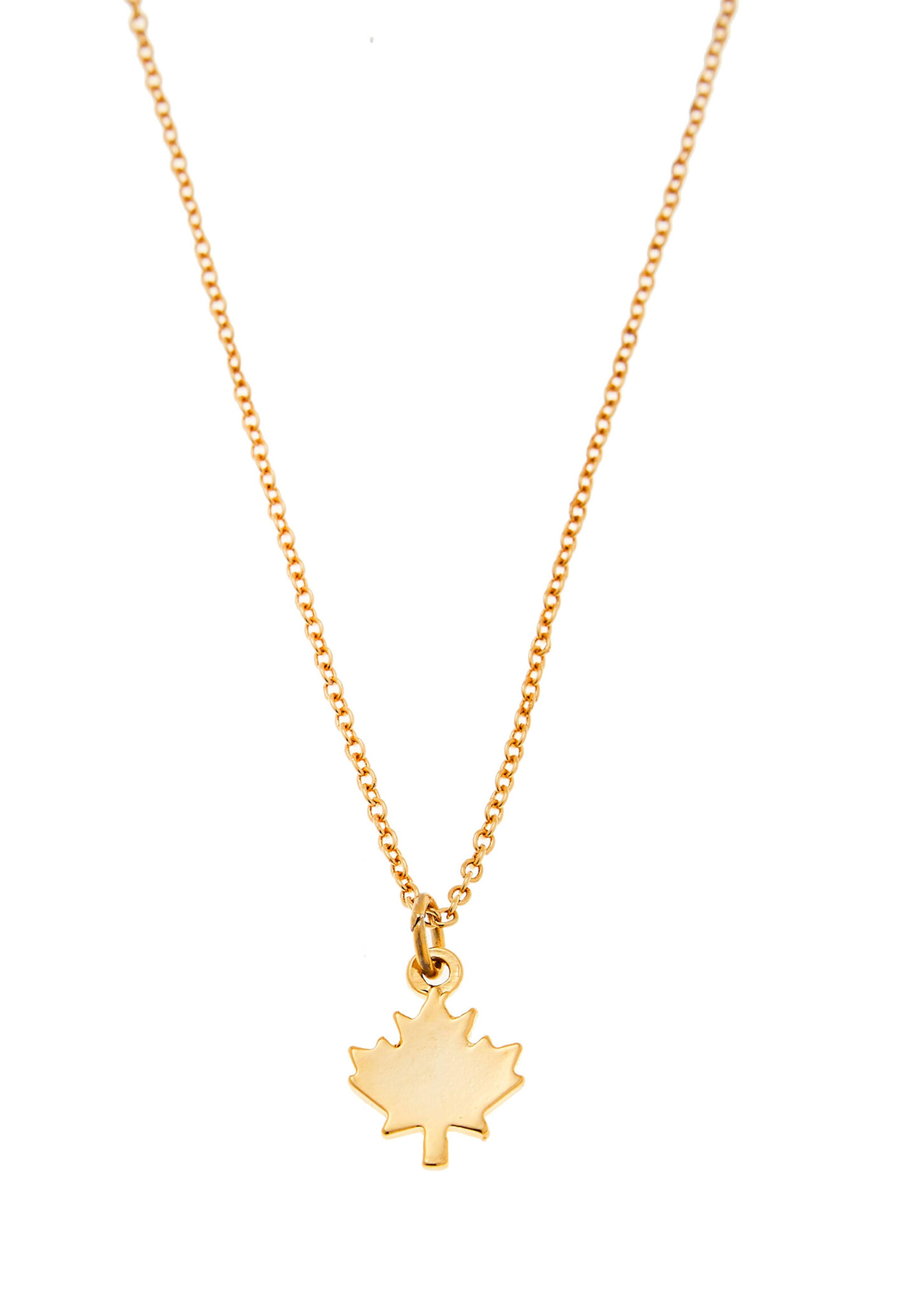 LeBLANC finds CANADIAN Maple Leaf Pendant Necklace