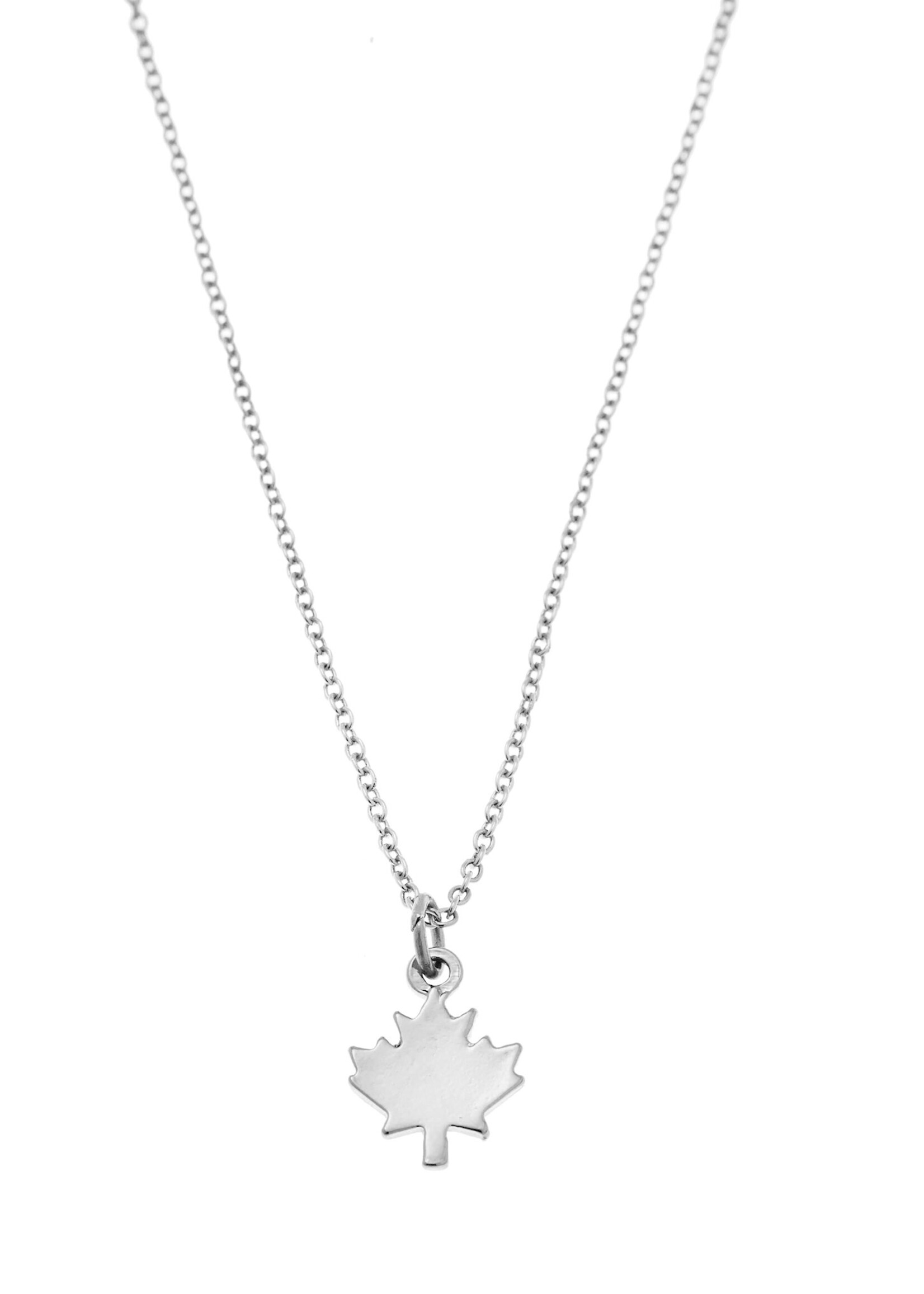 LeBLANC finds CANADIAN Maple Leaf Pendant Necklace