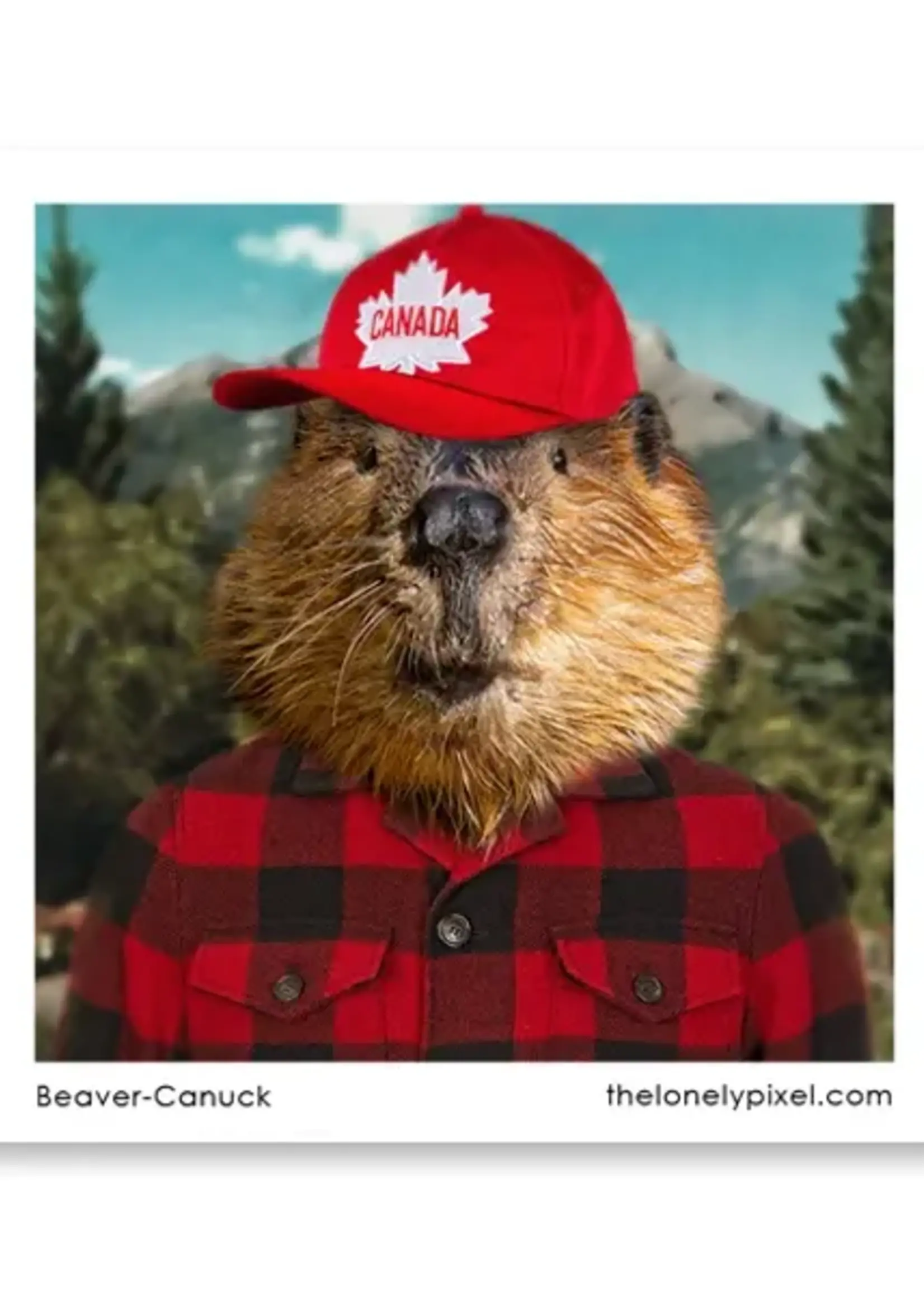 LeBLANC finds Beaver Canuck - Magnet