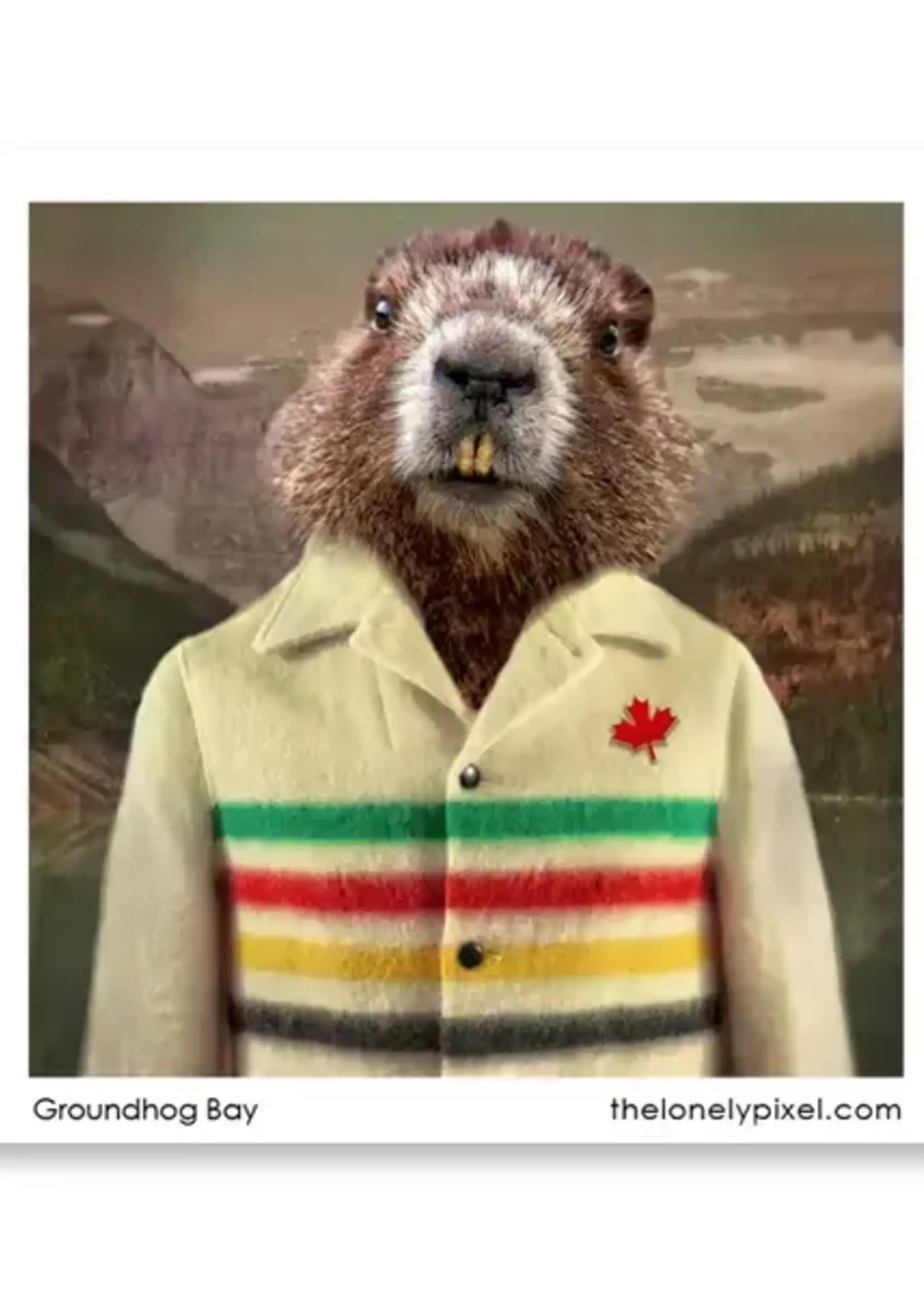 LeBLANC finds Groundhog Bay - Magnet