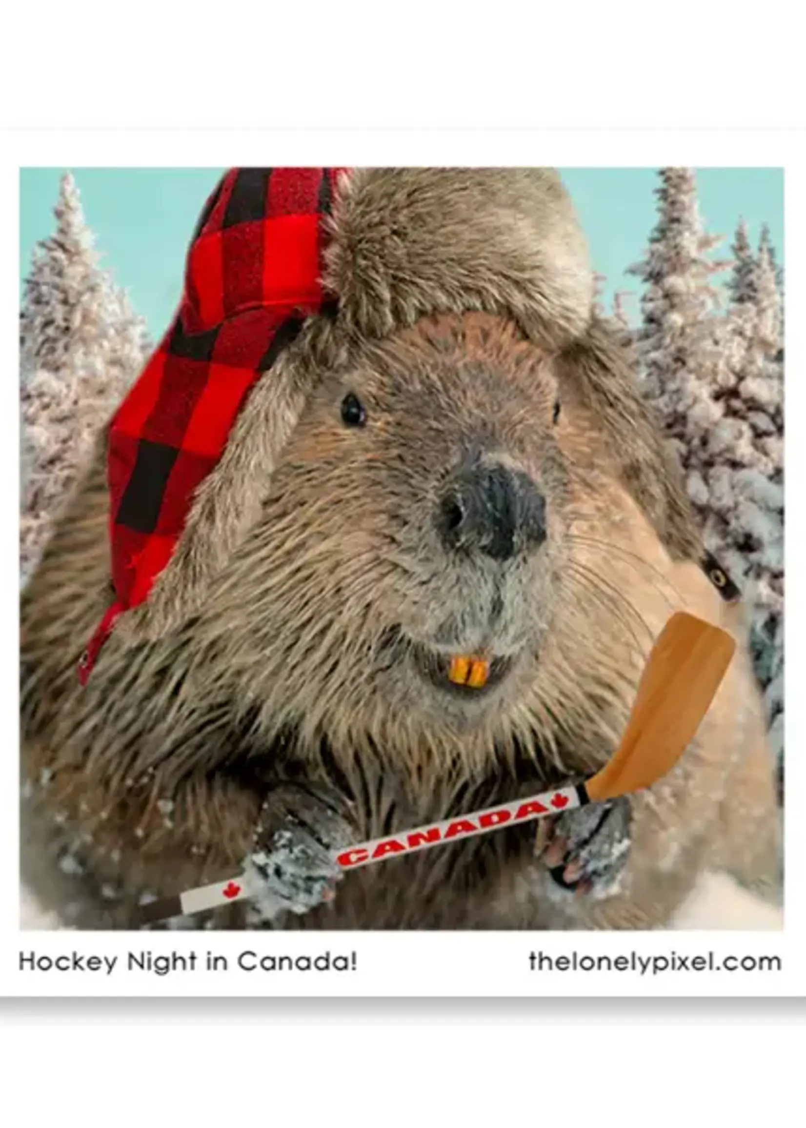 LeBLANC finds Hockey Night in Canada - Magnet