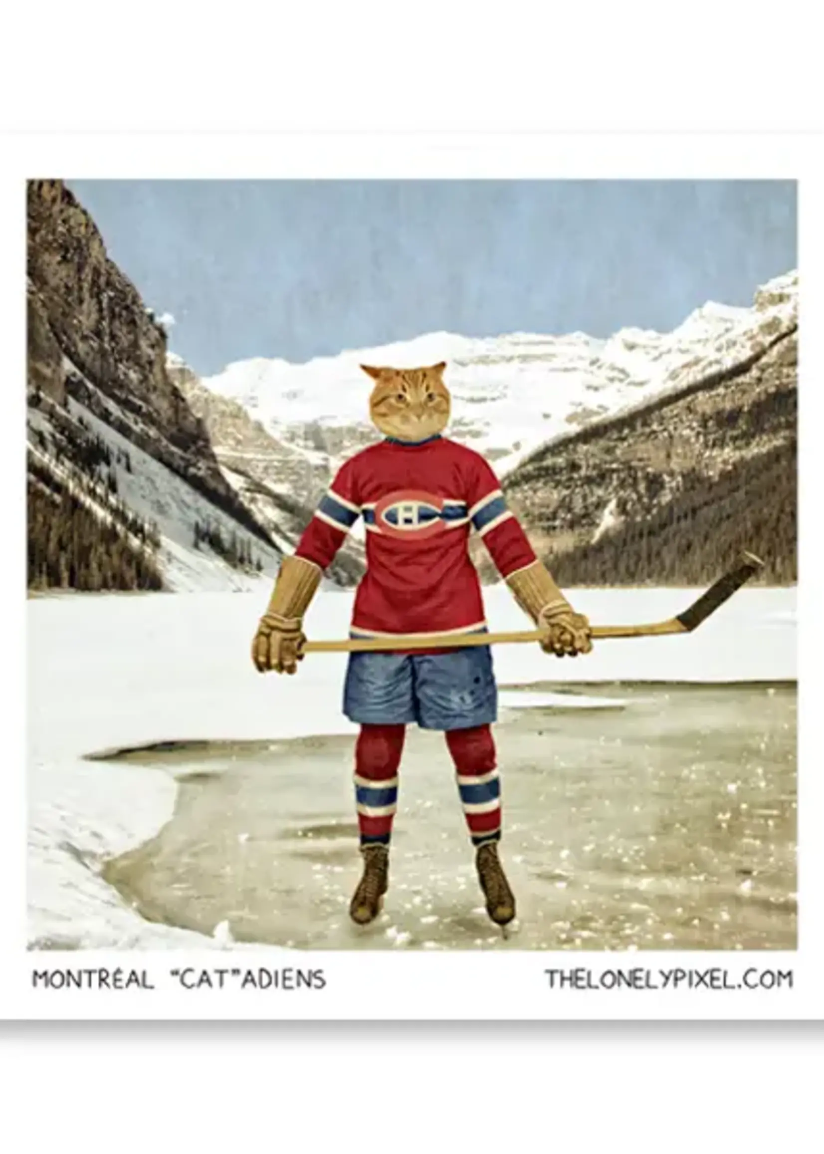 LeBLANC finds Montreal "Cat"adiens - Magnet