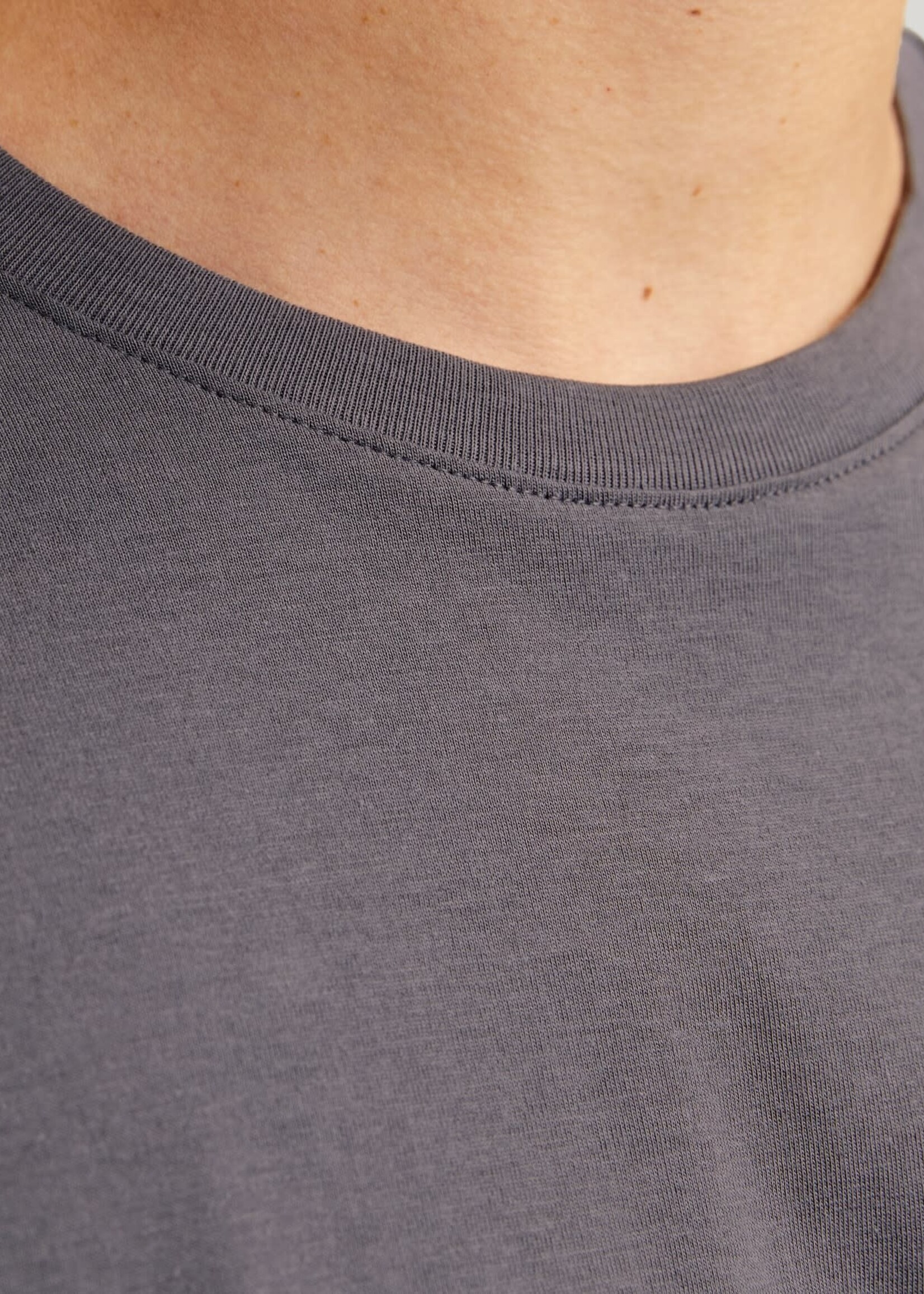 JACK & JONES Organic Basic Tee, Standard Fit