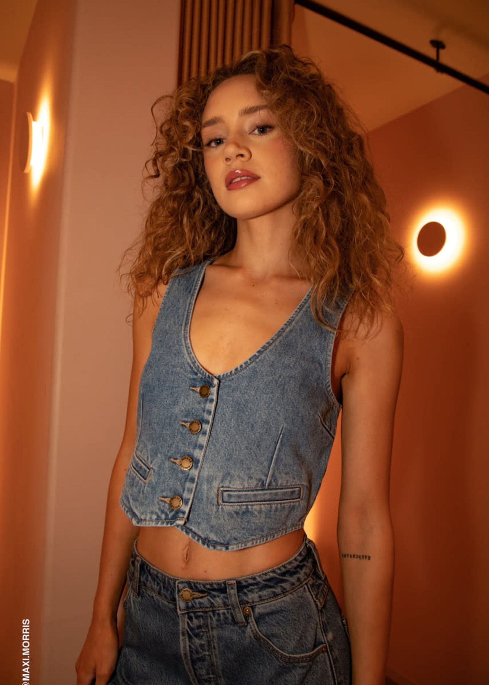 ROLLA'S DALLAS Vest