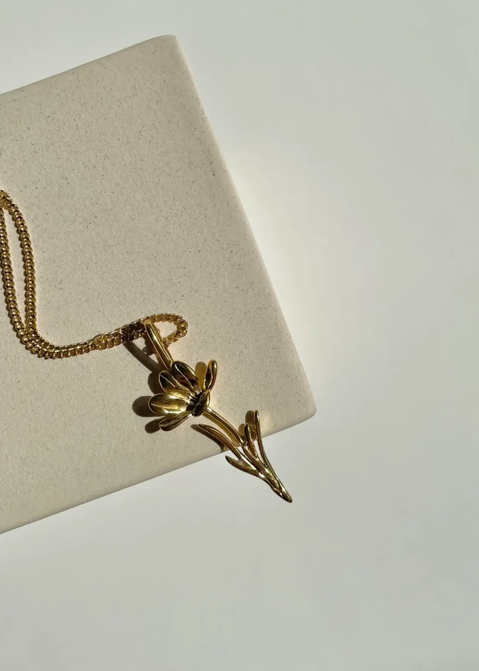 NAMASTE JEWELRY Crocus Necklace - GOLD
