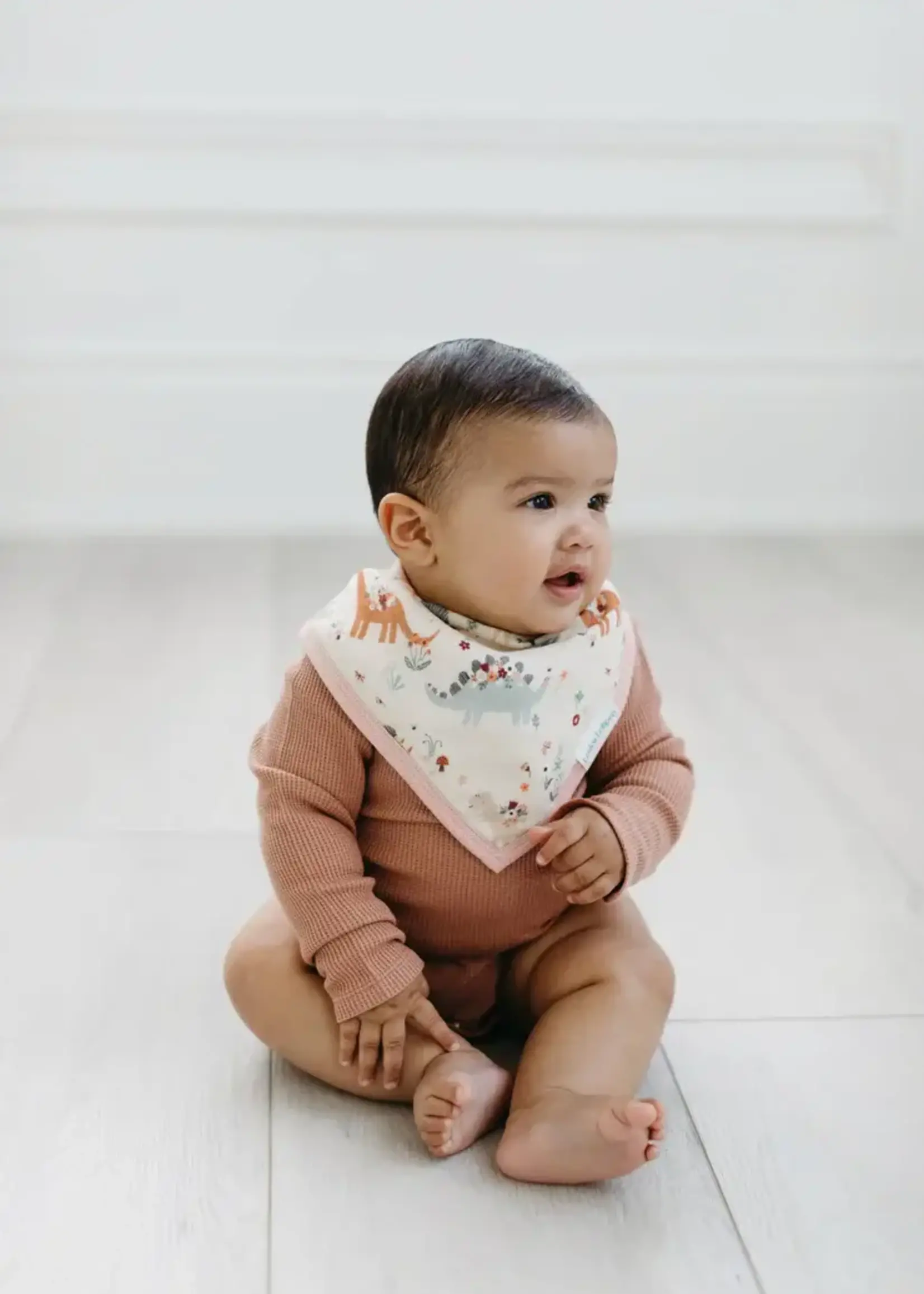 LOULOU LOLLIPOP Muslin Bandana Bib Set - Baby Dino