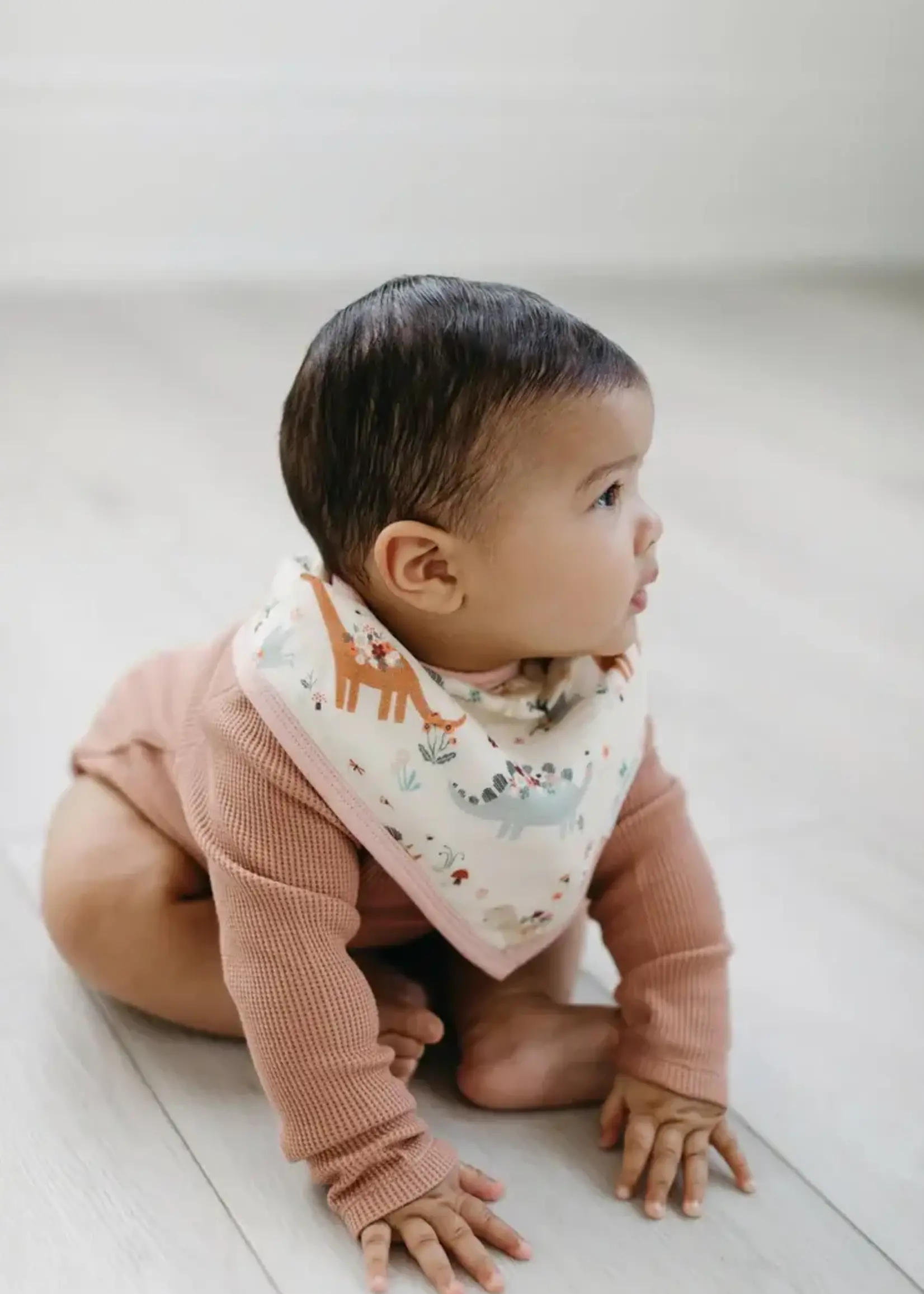 LOULOU LOLLIPOP Muslin Bandana Bib Set - Baby Dino