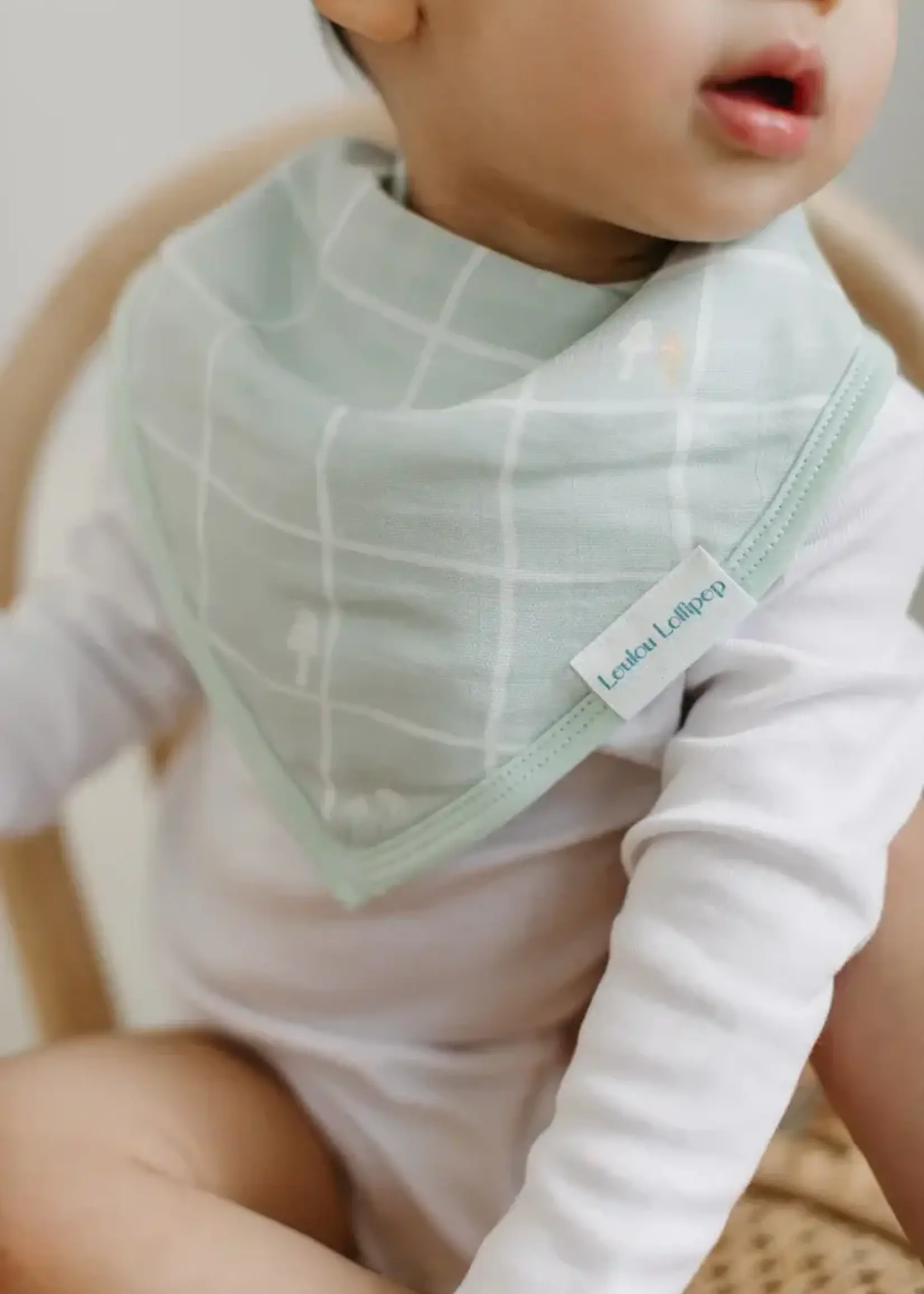 LOULOU LOLLIPOP Muslin Bandana Bib Set - Hedgehogs