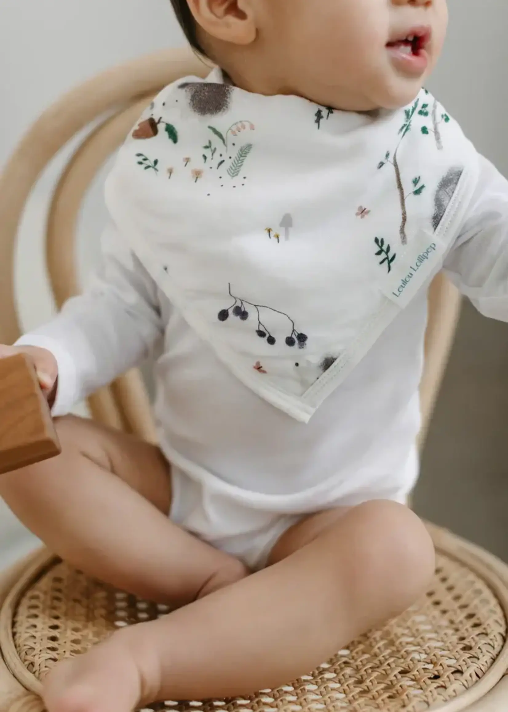 LOULOU LOLLIPOP Muslin Bandana Bib Set - Hedgehogs