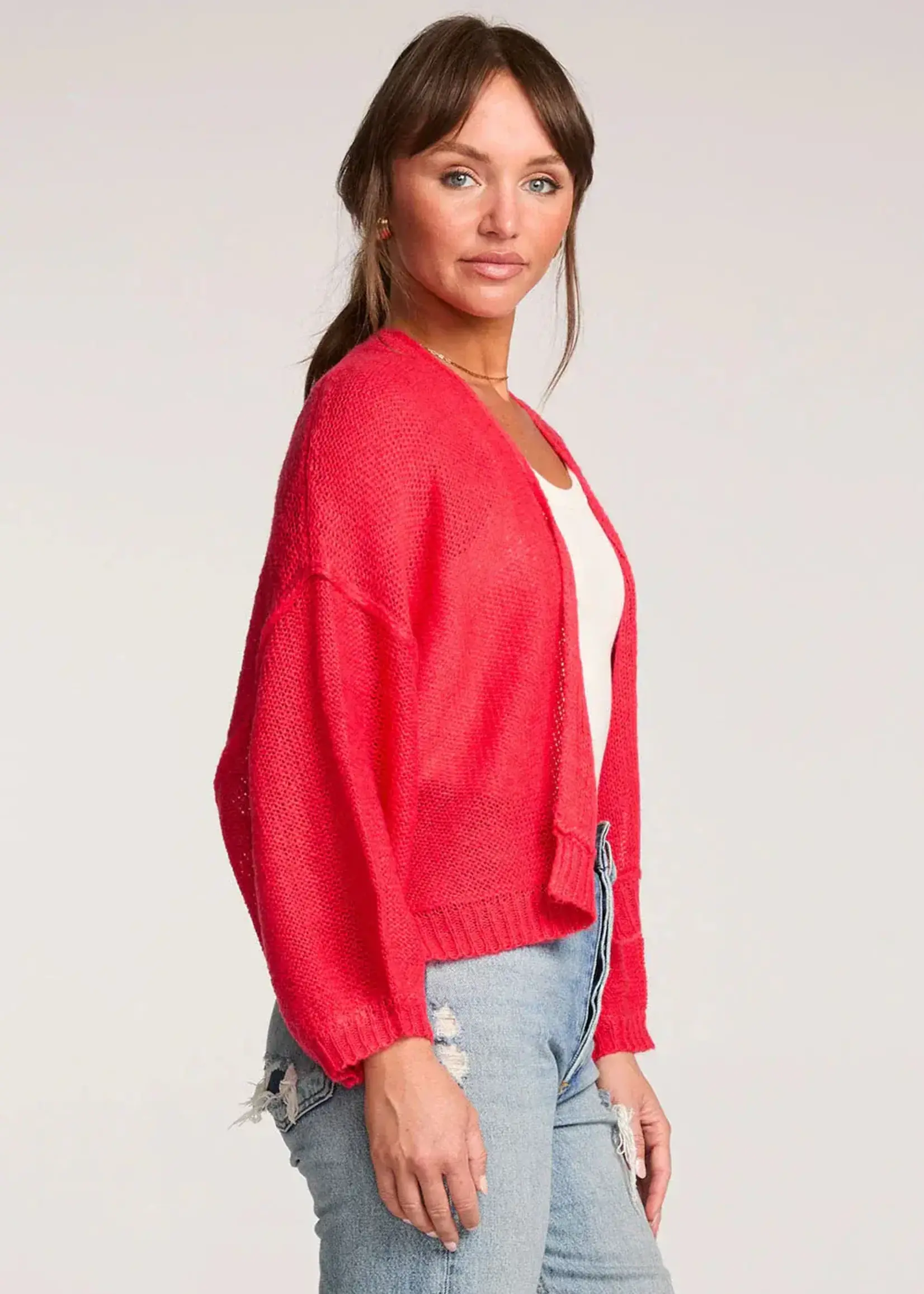 SALTWATER LUXE Aden Sweater