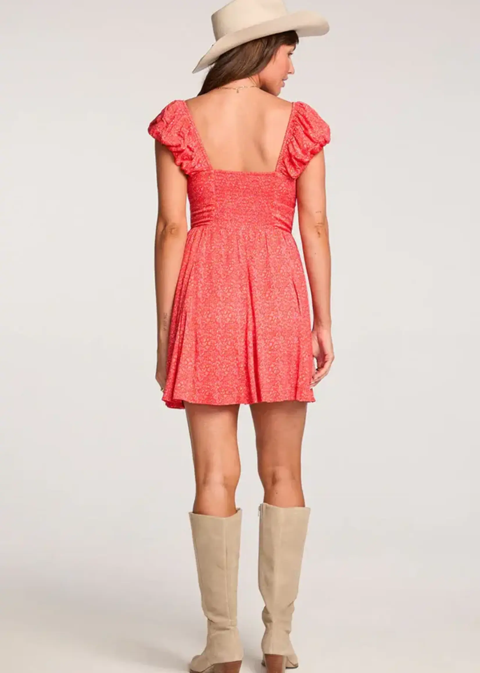 SALTWATER LUXE ELISS MINI DRESS