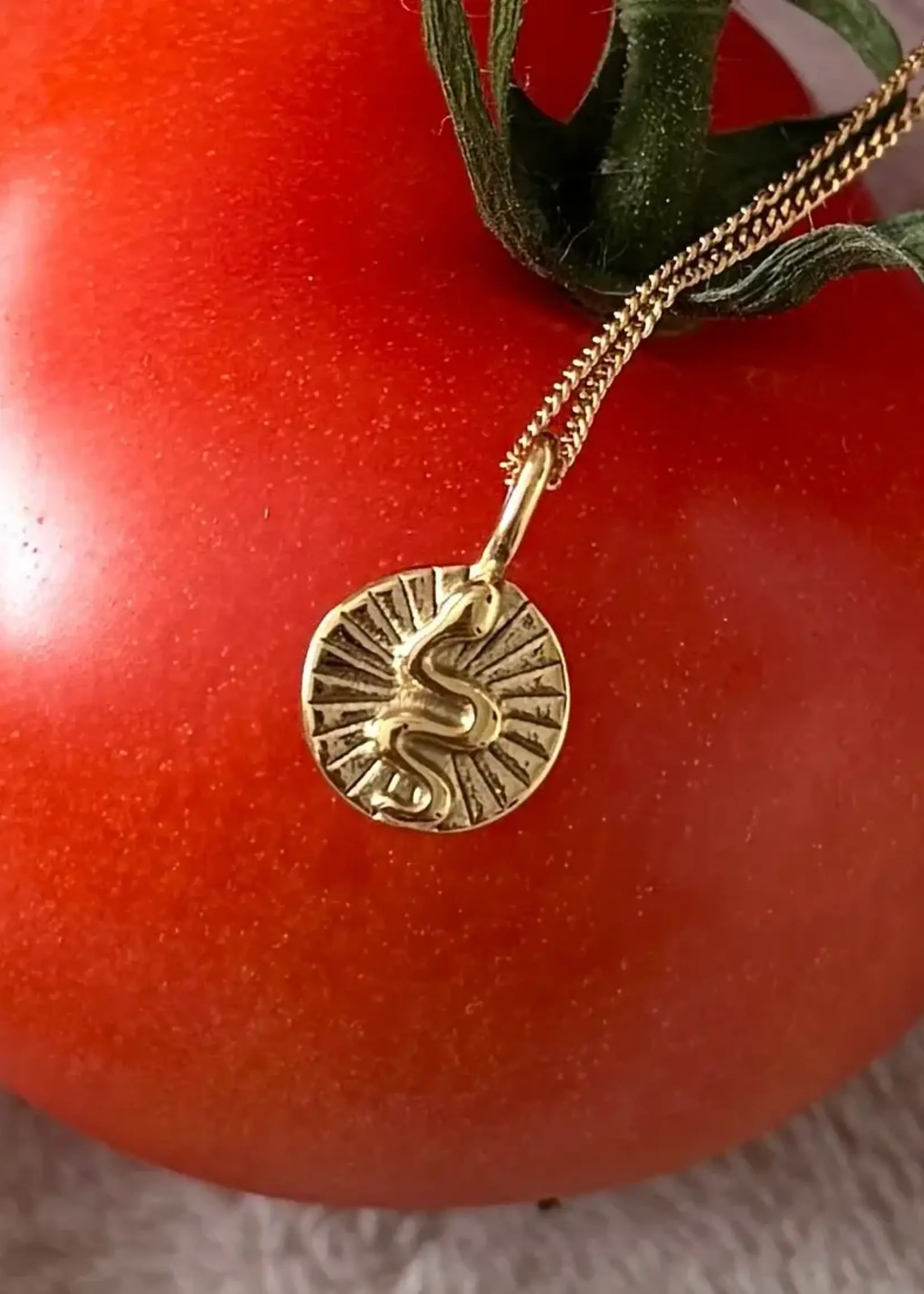 NAMASTE JEWELRY Snake Necklace