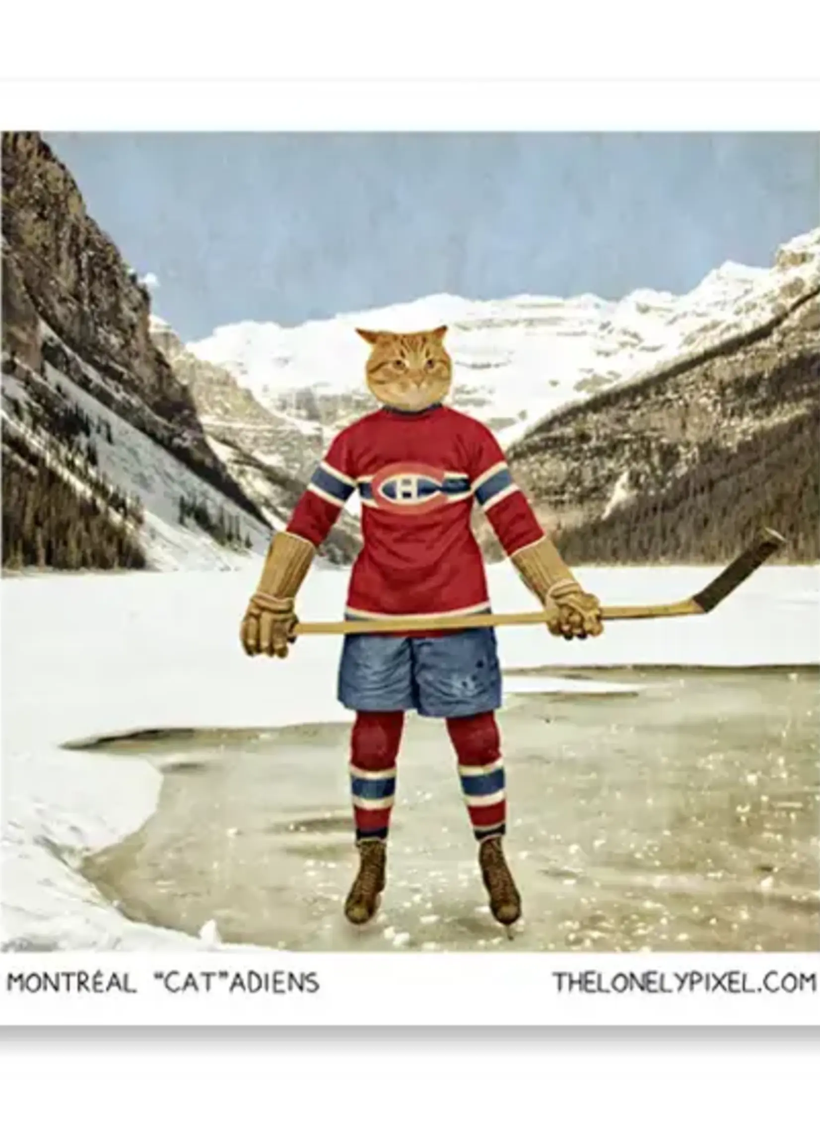 LeBLANC finds Montreal "Cat"adiens - Magnet