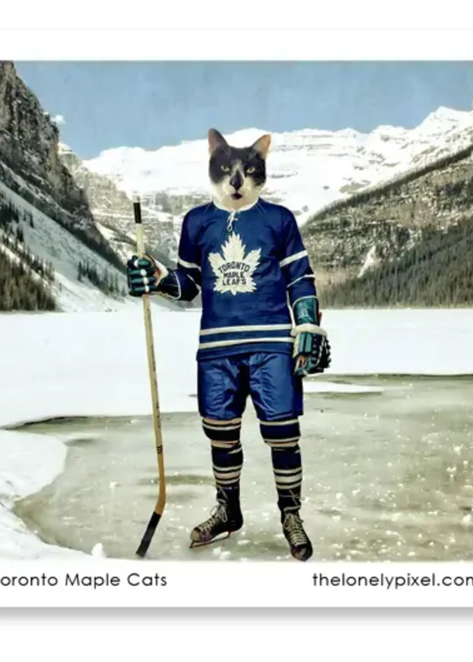 LeBLANC finds Canadian Fridge Magnet