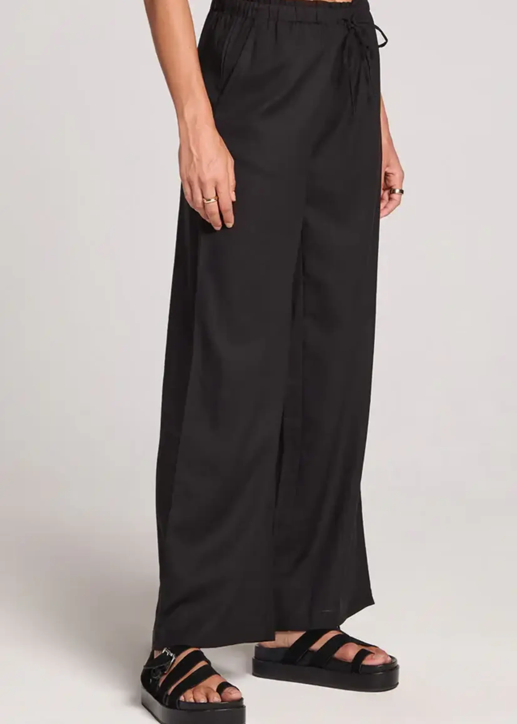 SALTWATER LUXE Woven Pull On Pant