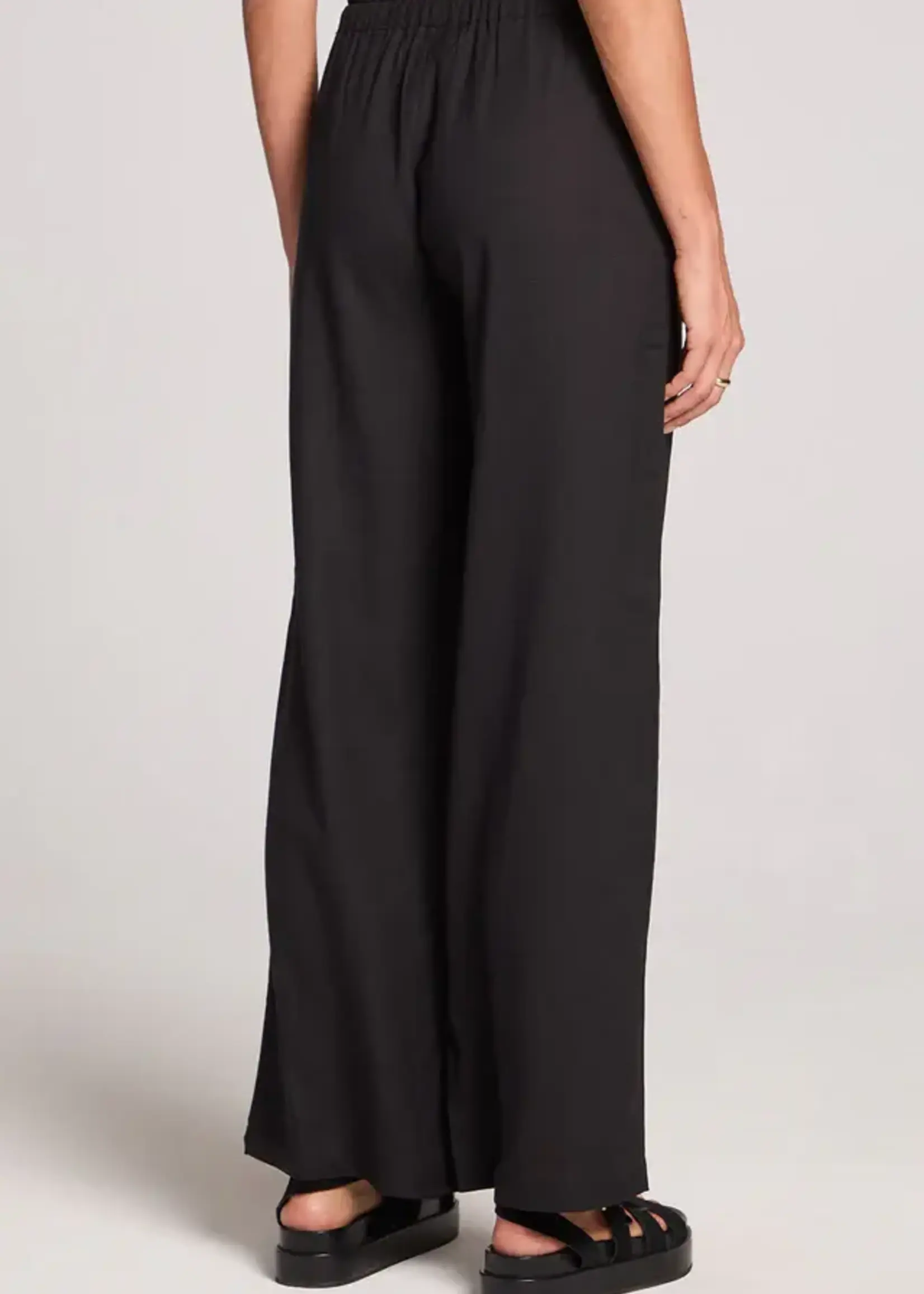 SALTWATER LUXE Woven Pull On Pant