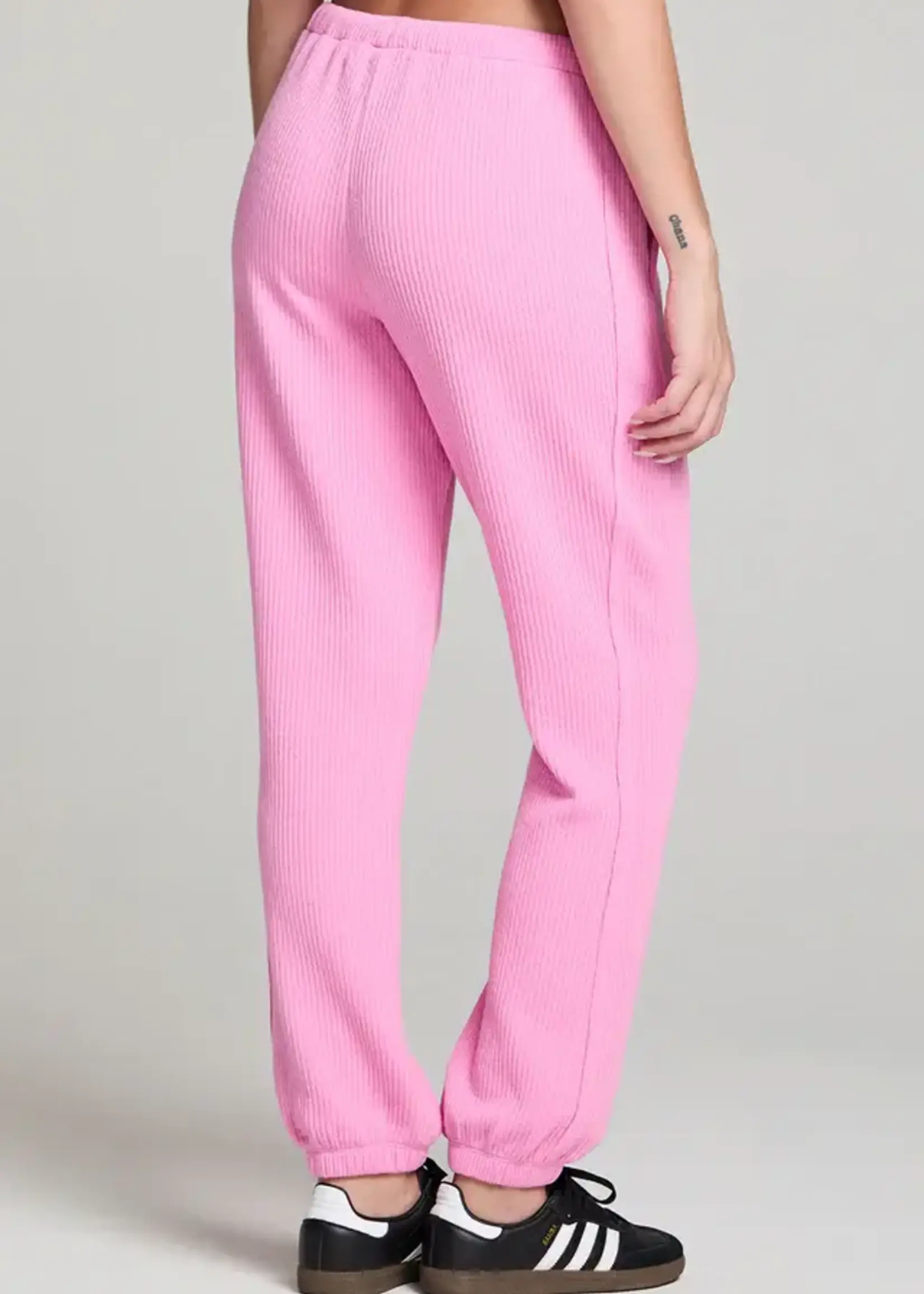 SALTWATER LUXE Pull On Jogger Pant