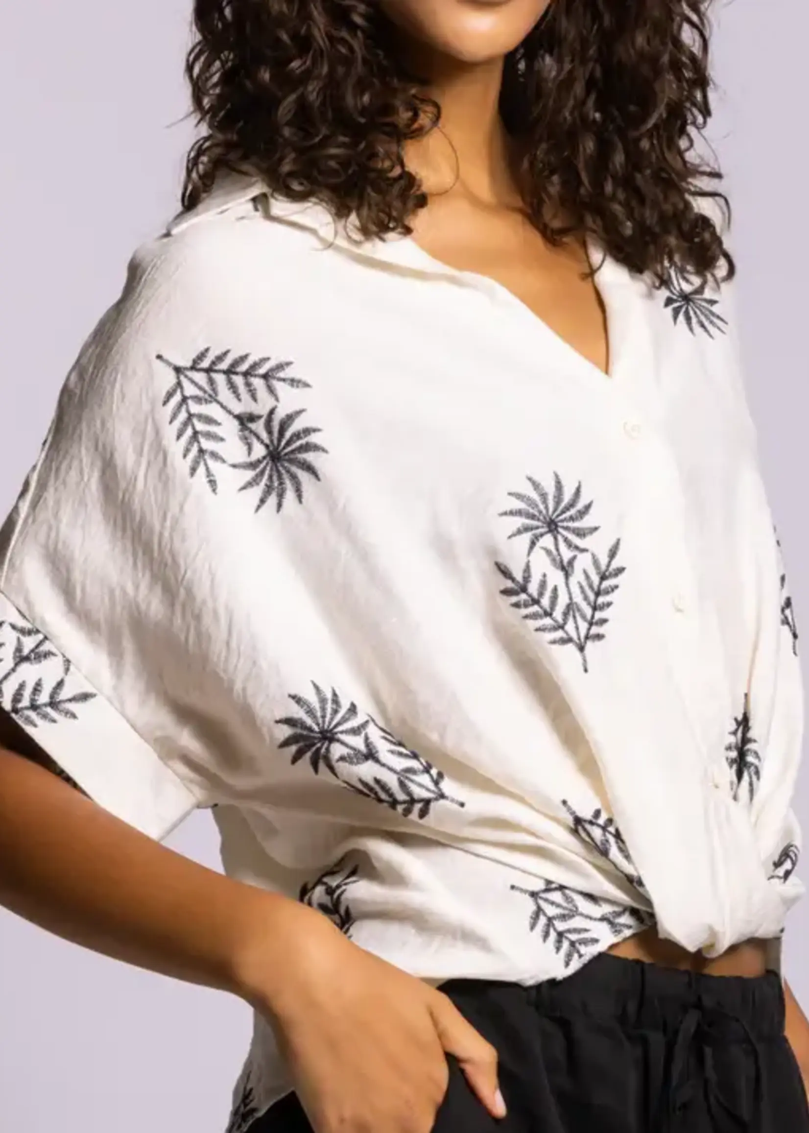 PINK MARTINI Flo Top