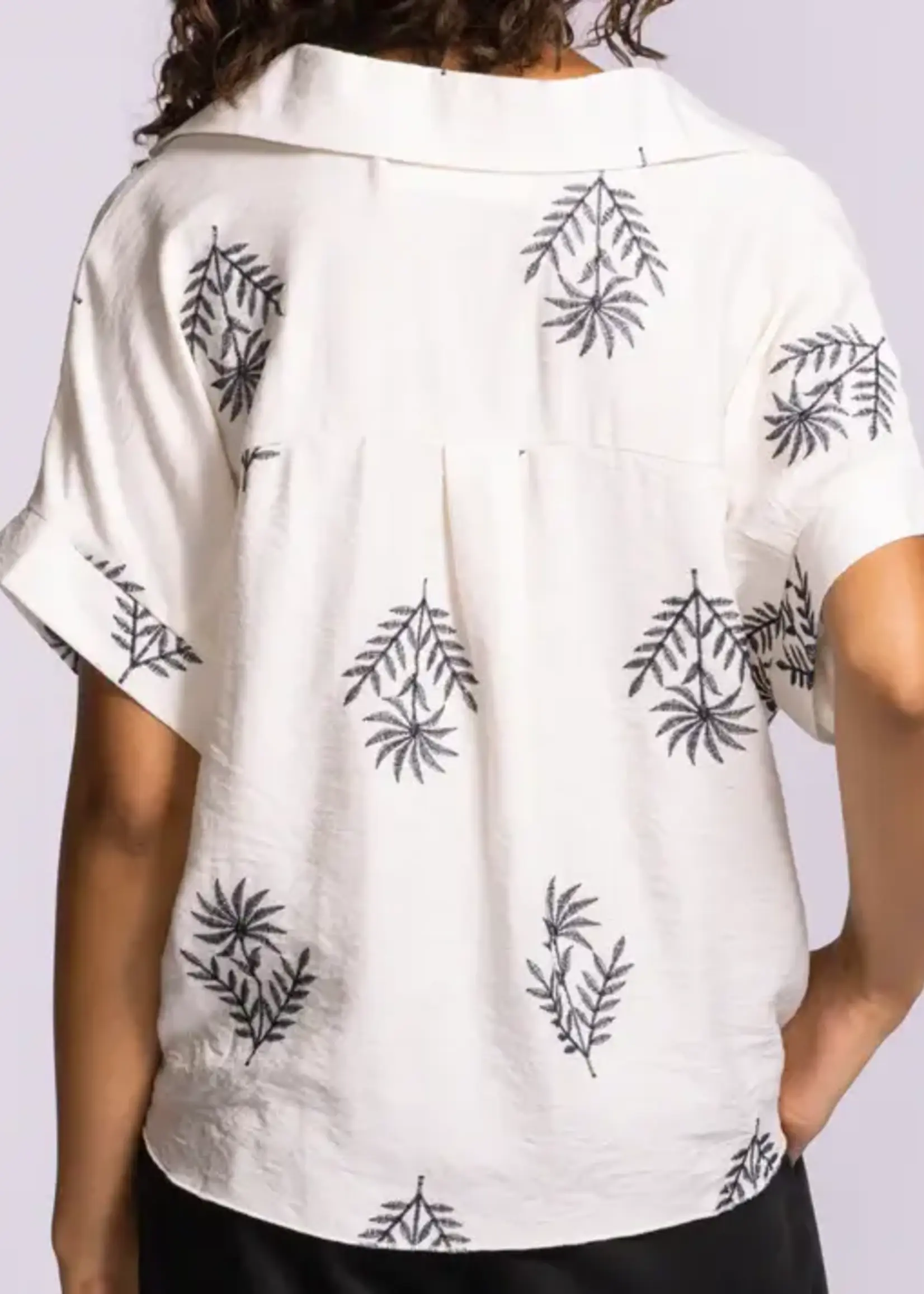 PINK MARTINI Flo Top