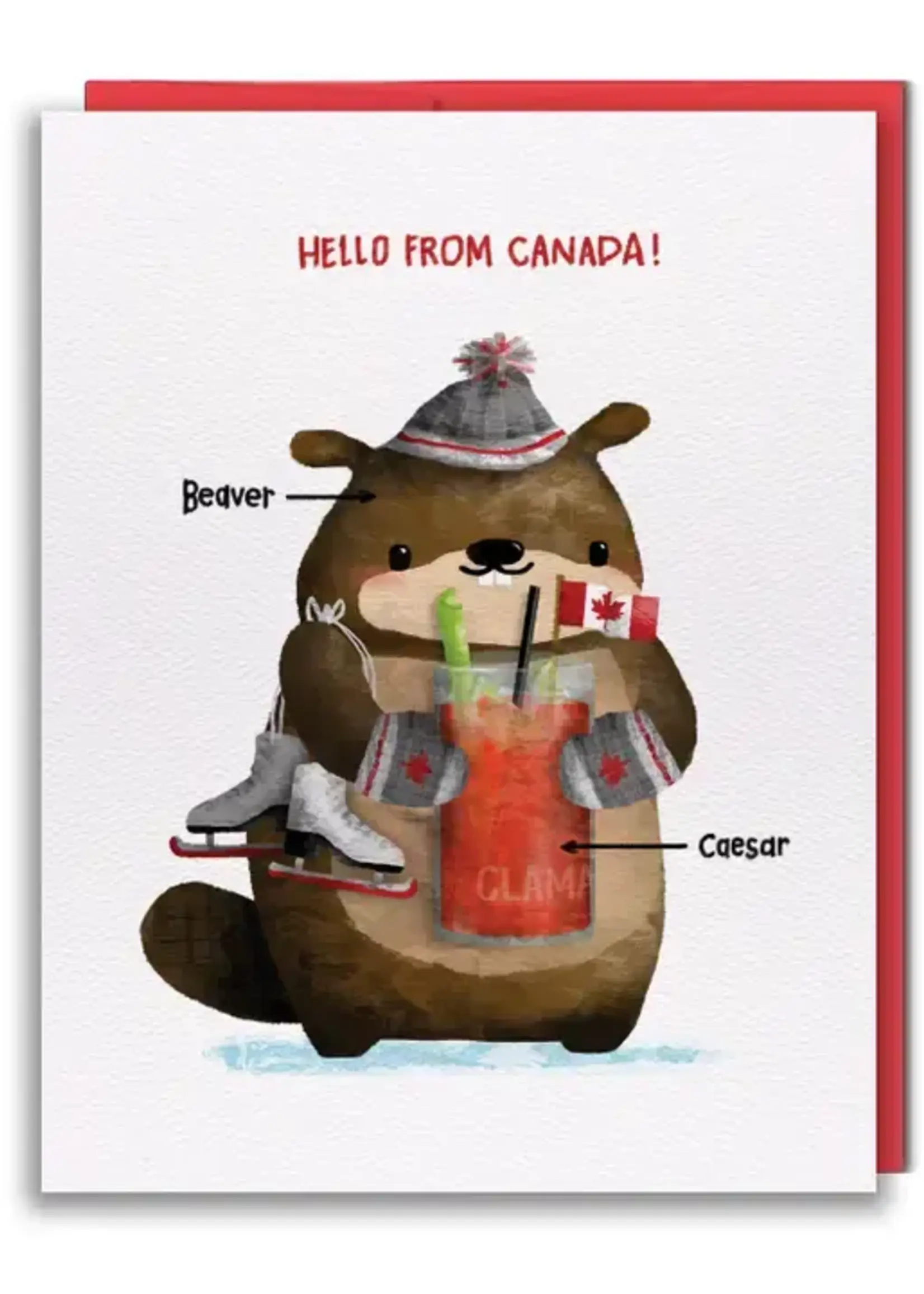 STUDIO VCKY Greeting Cards |