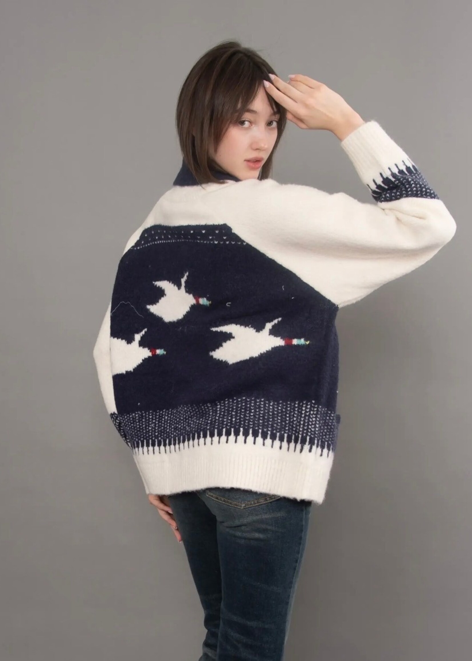 RD STYLE Taji Raglan Sleeve Shawl Collar Cardigan
