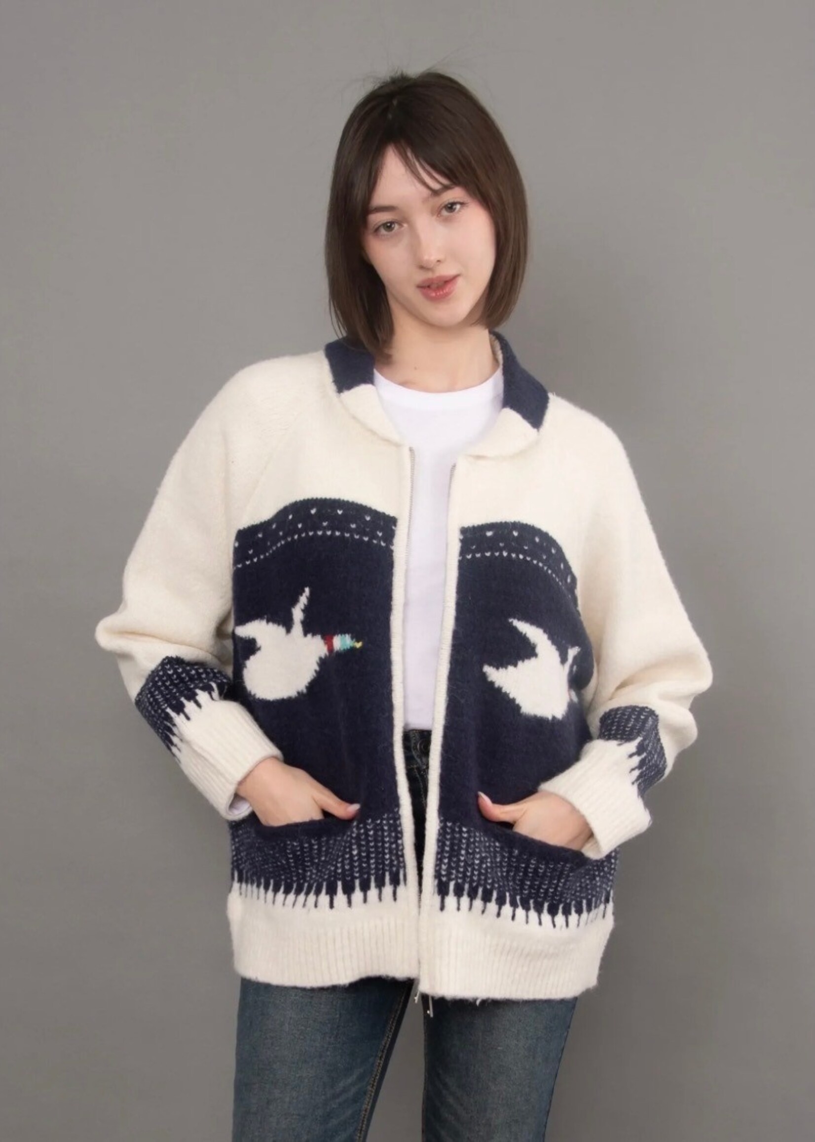 RD STYLE Taji Raglan Sleeve Shawl Collar Cardigan