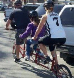 Bike Friday Bike Friday Family Triple