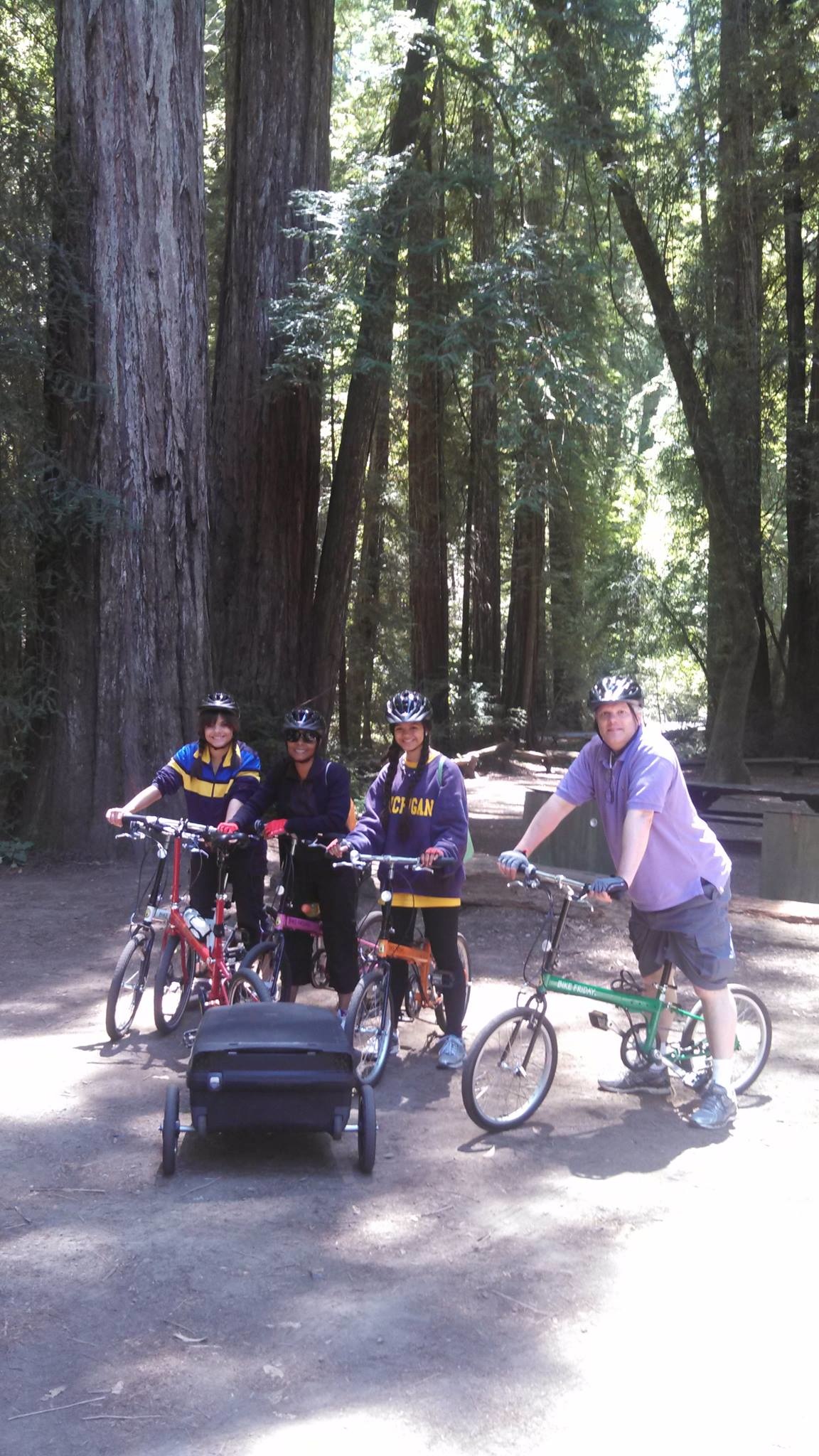 Armstrong Redwoods