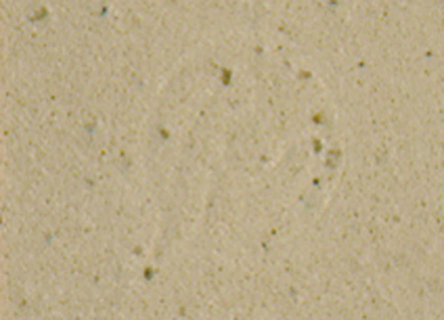 cinelli fluo bar tape