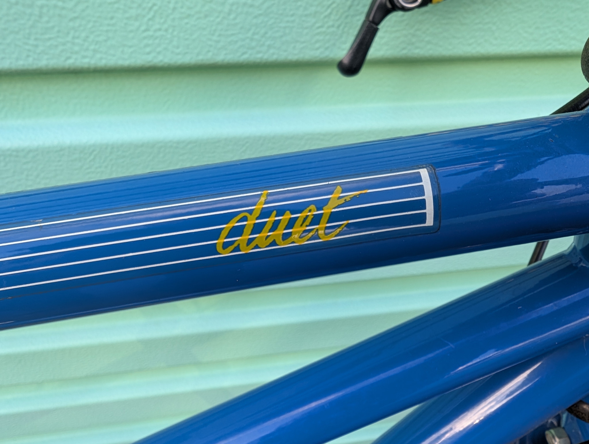 Burley Burley Duet Tandem