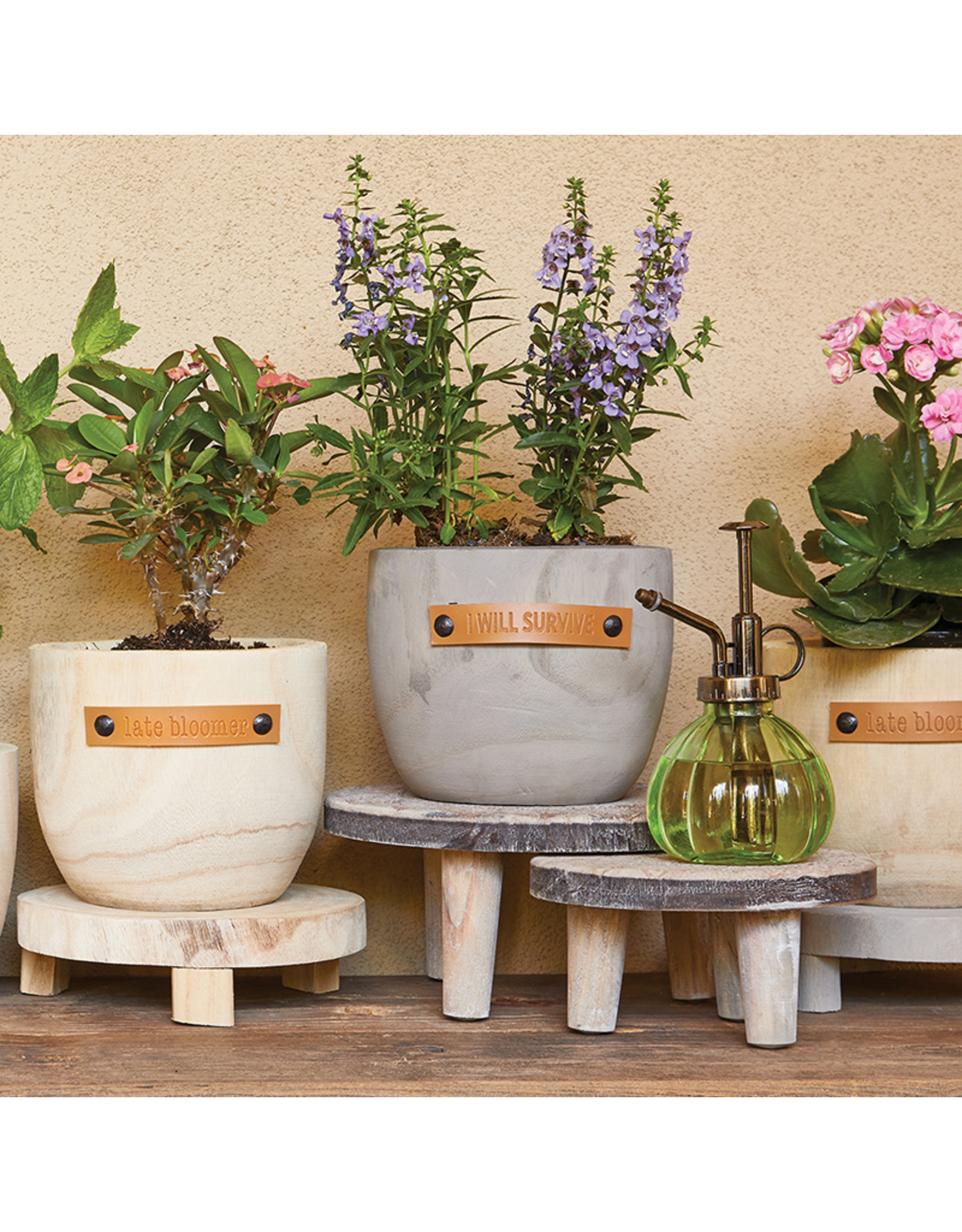 The Ritzy Gypsy LATE BLOOMER Wood Planter