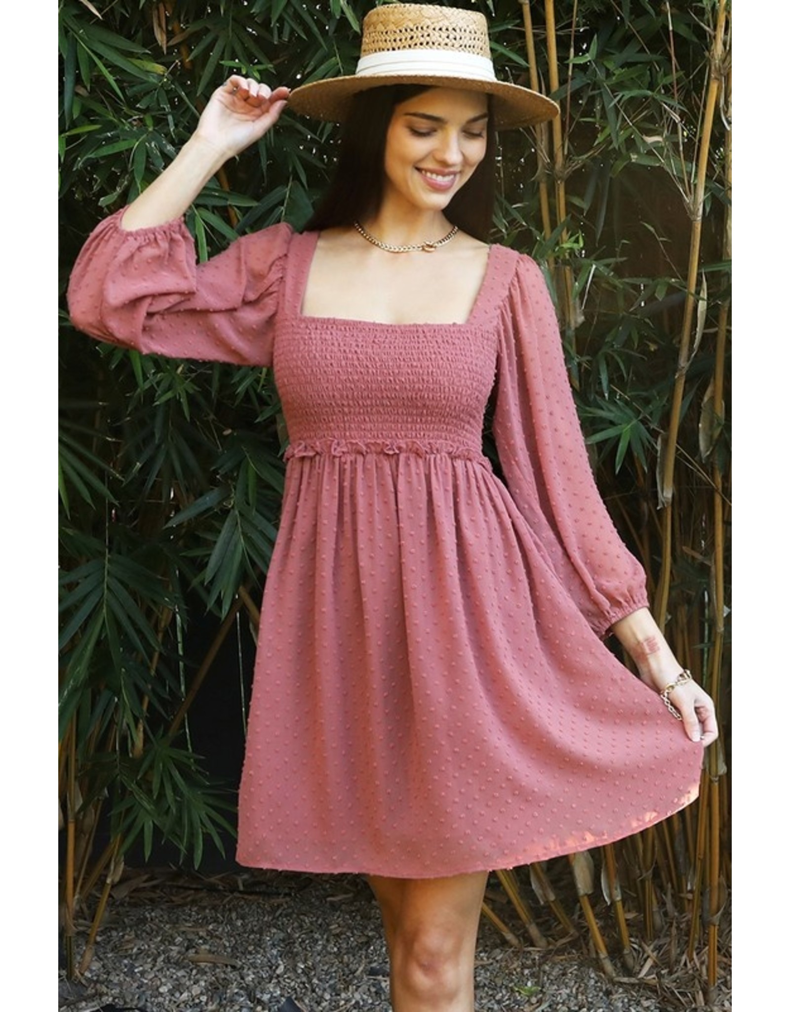 ninexis Dried Rose Swiss Dotted Dress