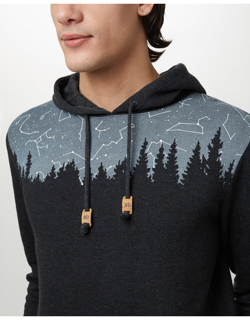 tentree constellation hoodie