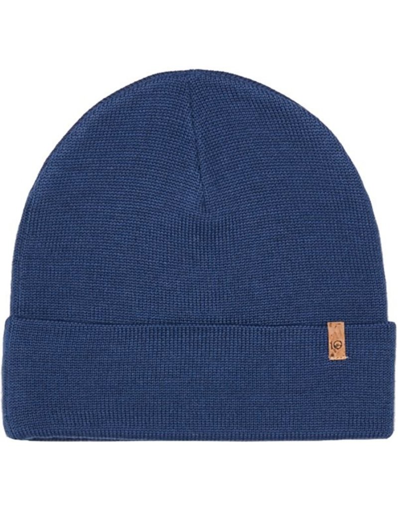 tentree beanie