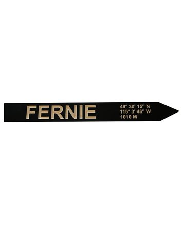 ASSINIBOINE DESIGN ASSINIBOINE DESIGN Fernie Coordinates Sign