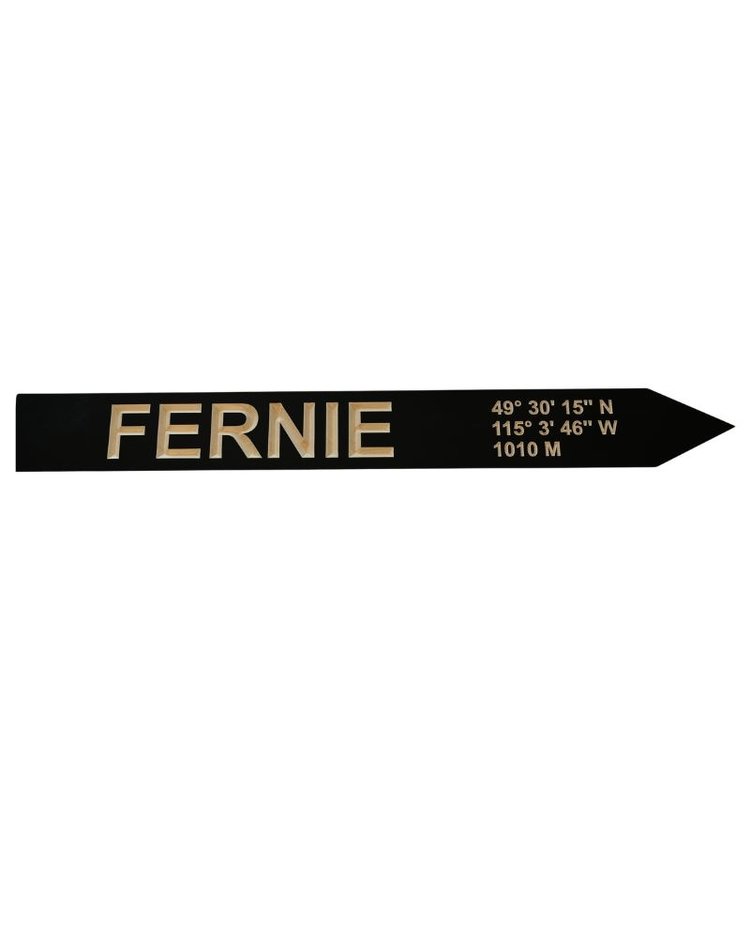 ASSINIBOINE DESIGN ASSINIBOINE DESIGN Fernie Coordinates Sign